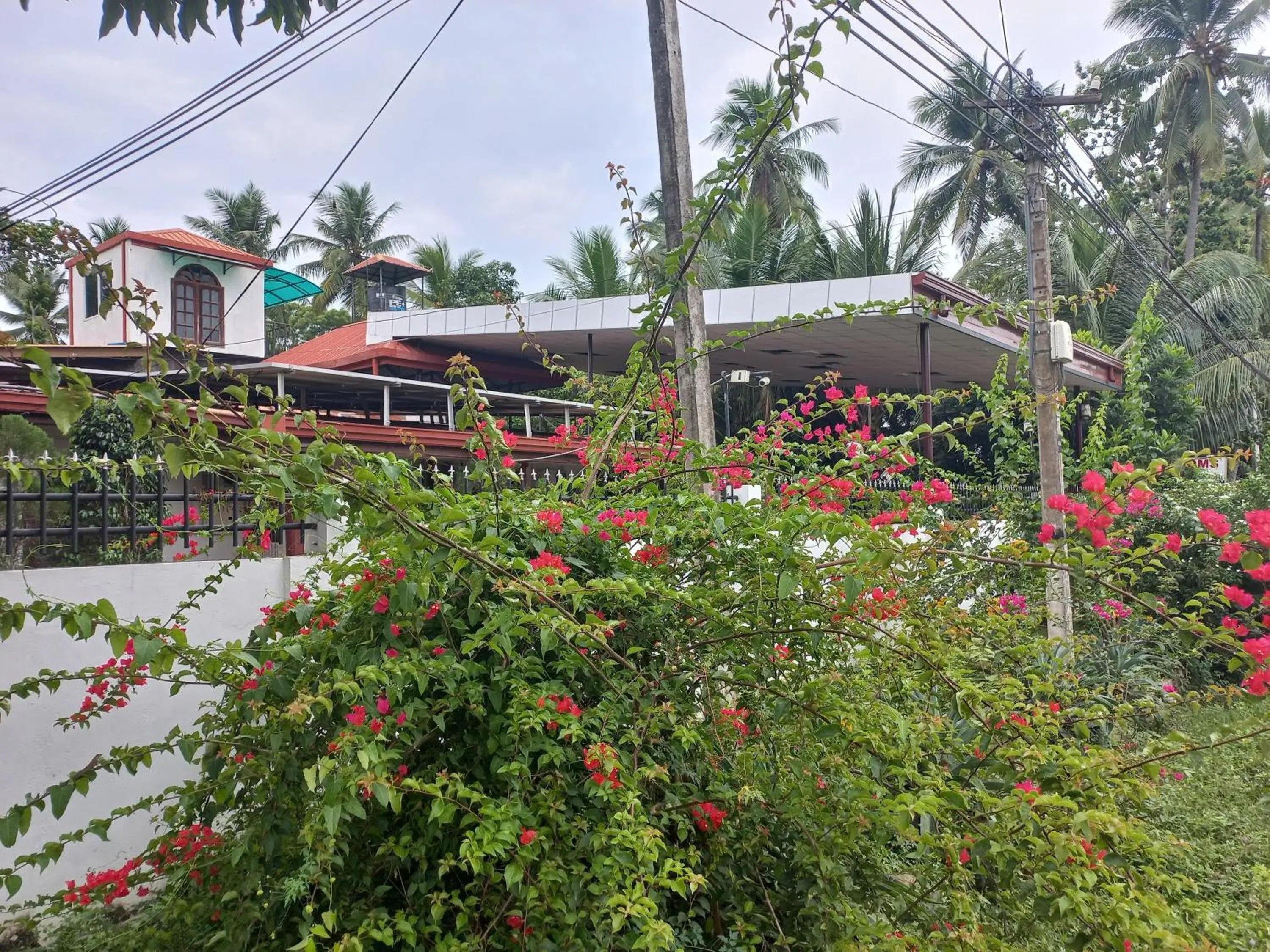 Budget Double Room in Mayura Rest Inn Budget Double Room in Mayura Rest Inn