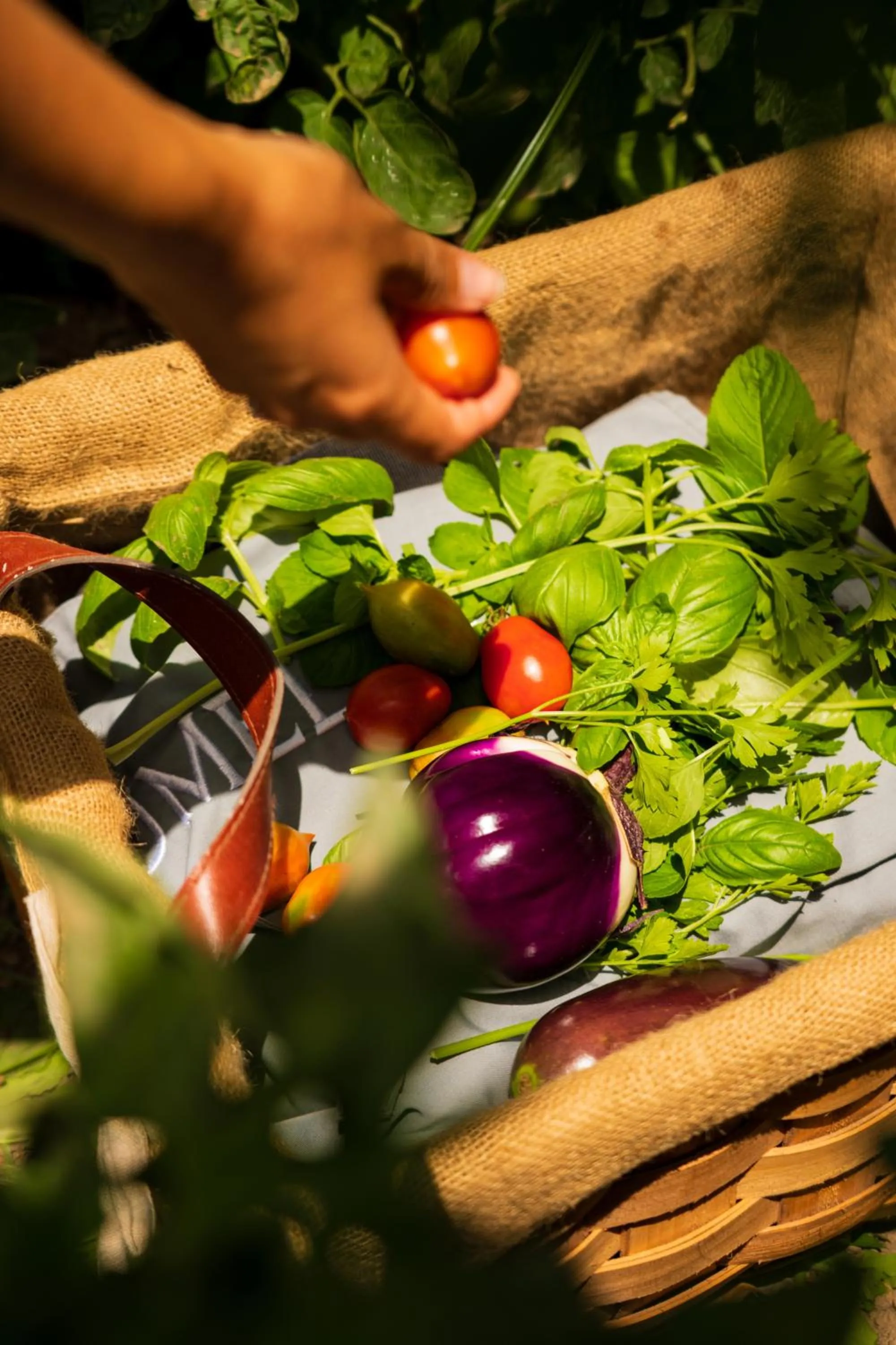 Activities in Grand Hotel Cocumella