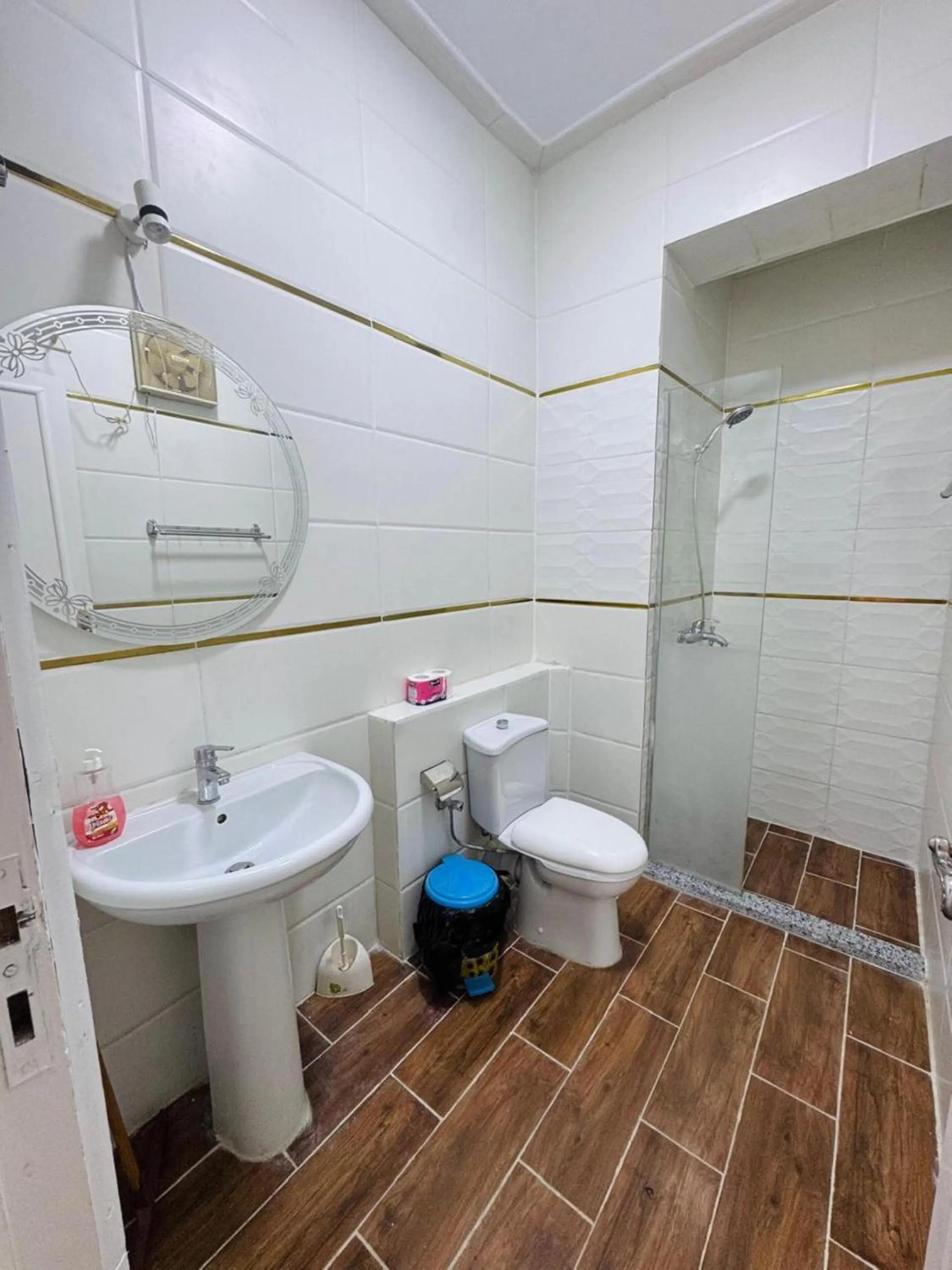 Shower in Luxor Guest House