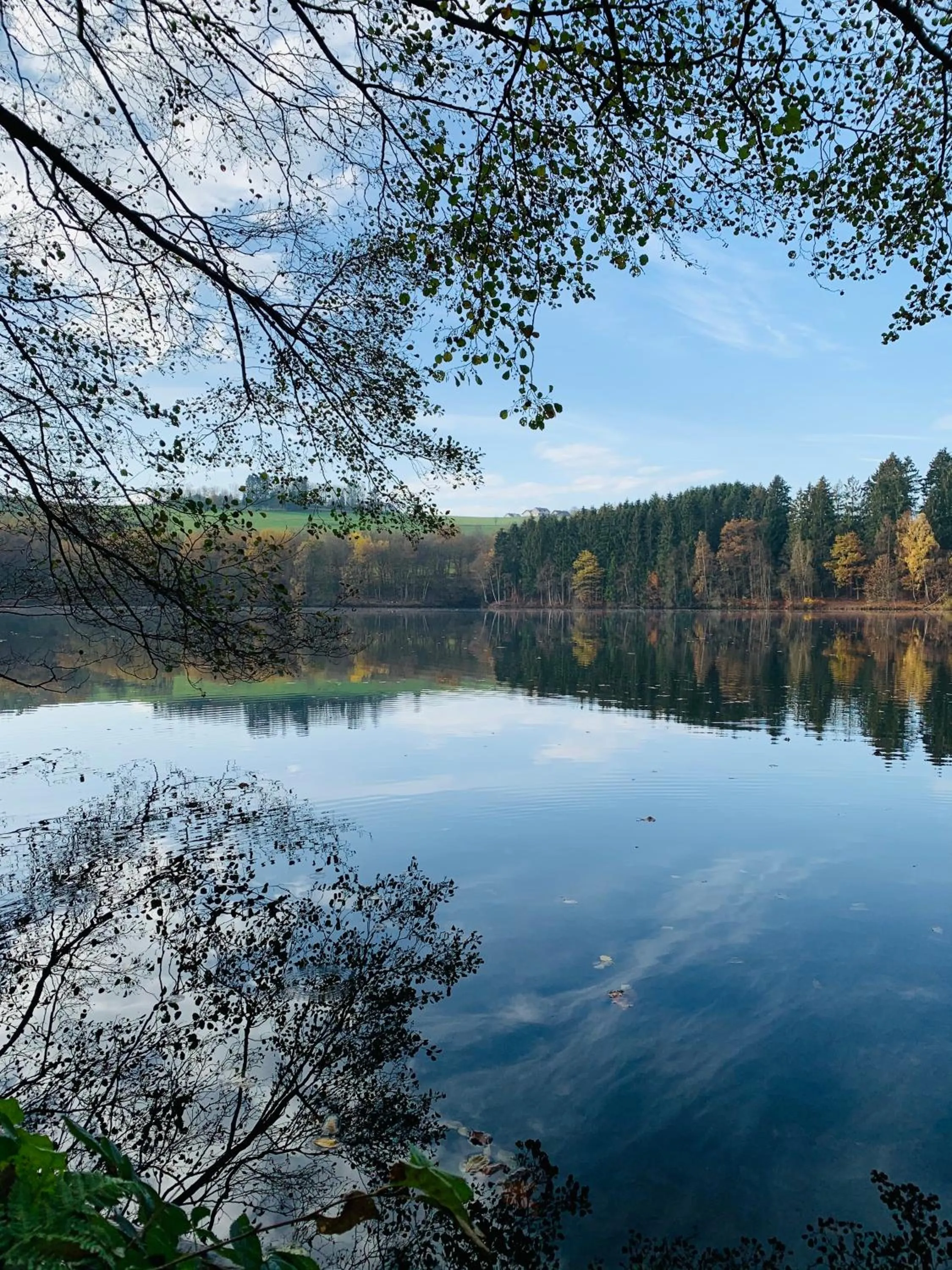 Natural landscape in Gasthof Zum Hobel