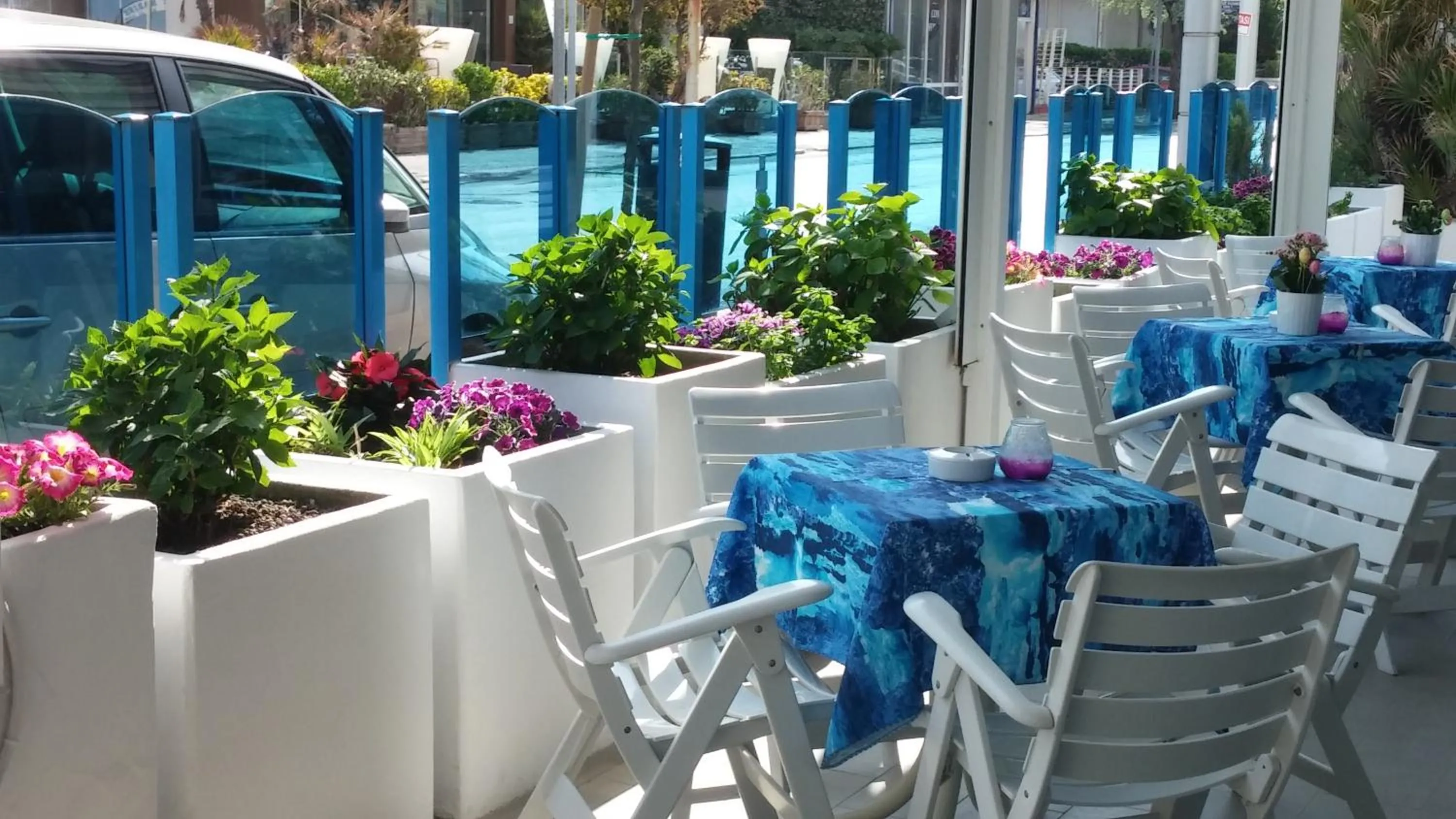 Garden in Hotel Rosalba