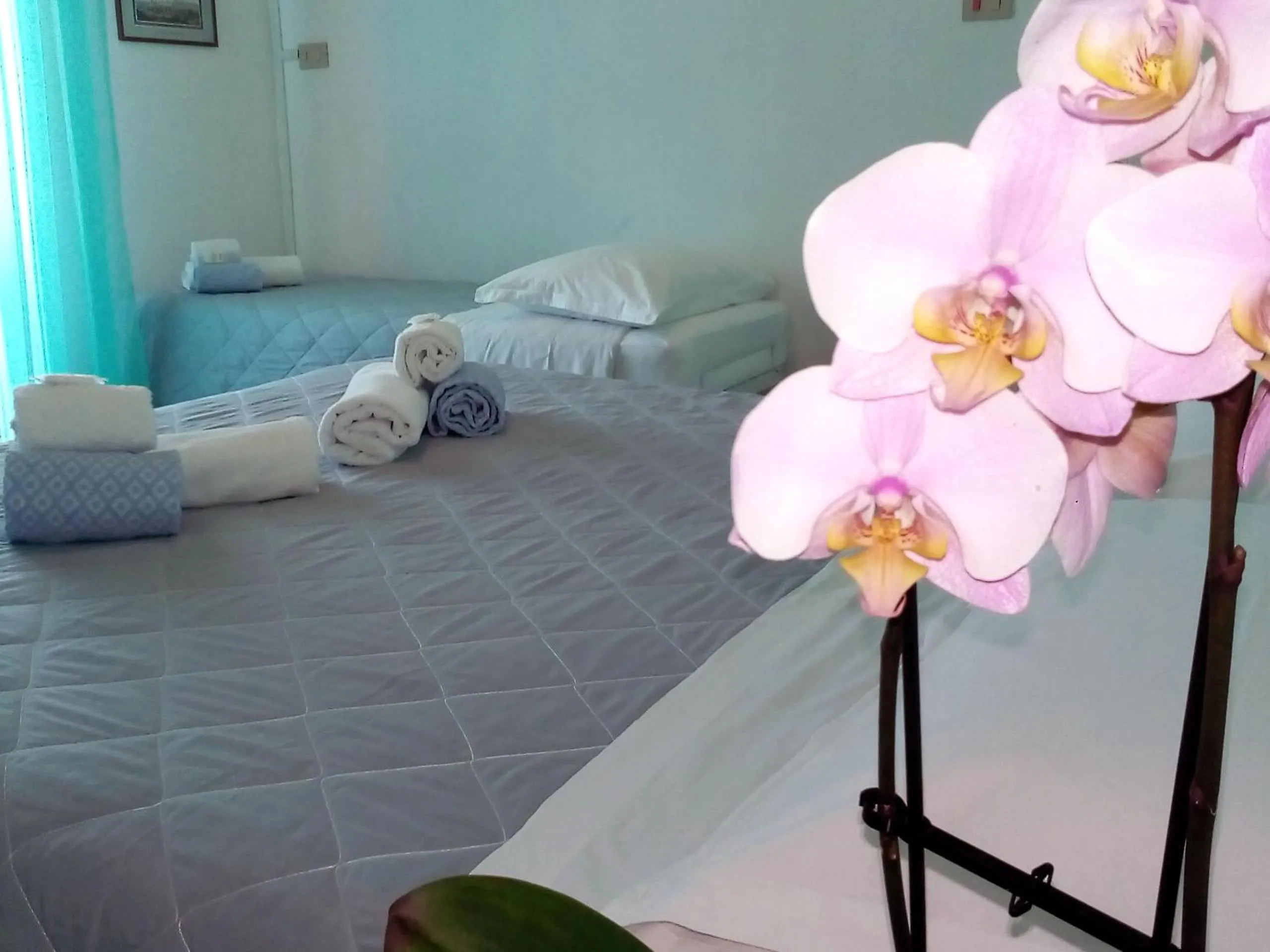 Bed in Hotel Rosalba