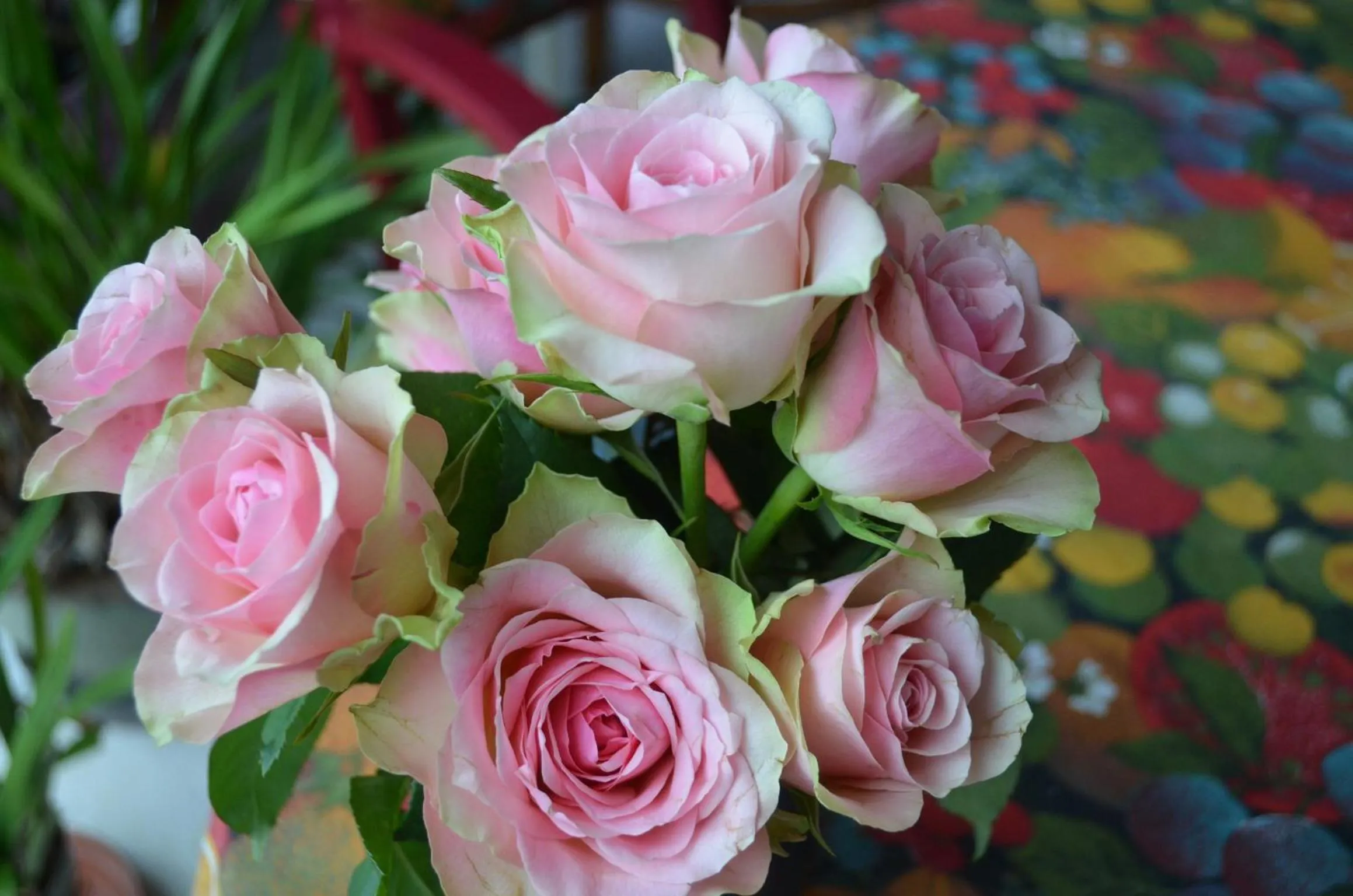 Decorative detail in Couette Et Cafe Crème