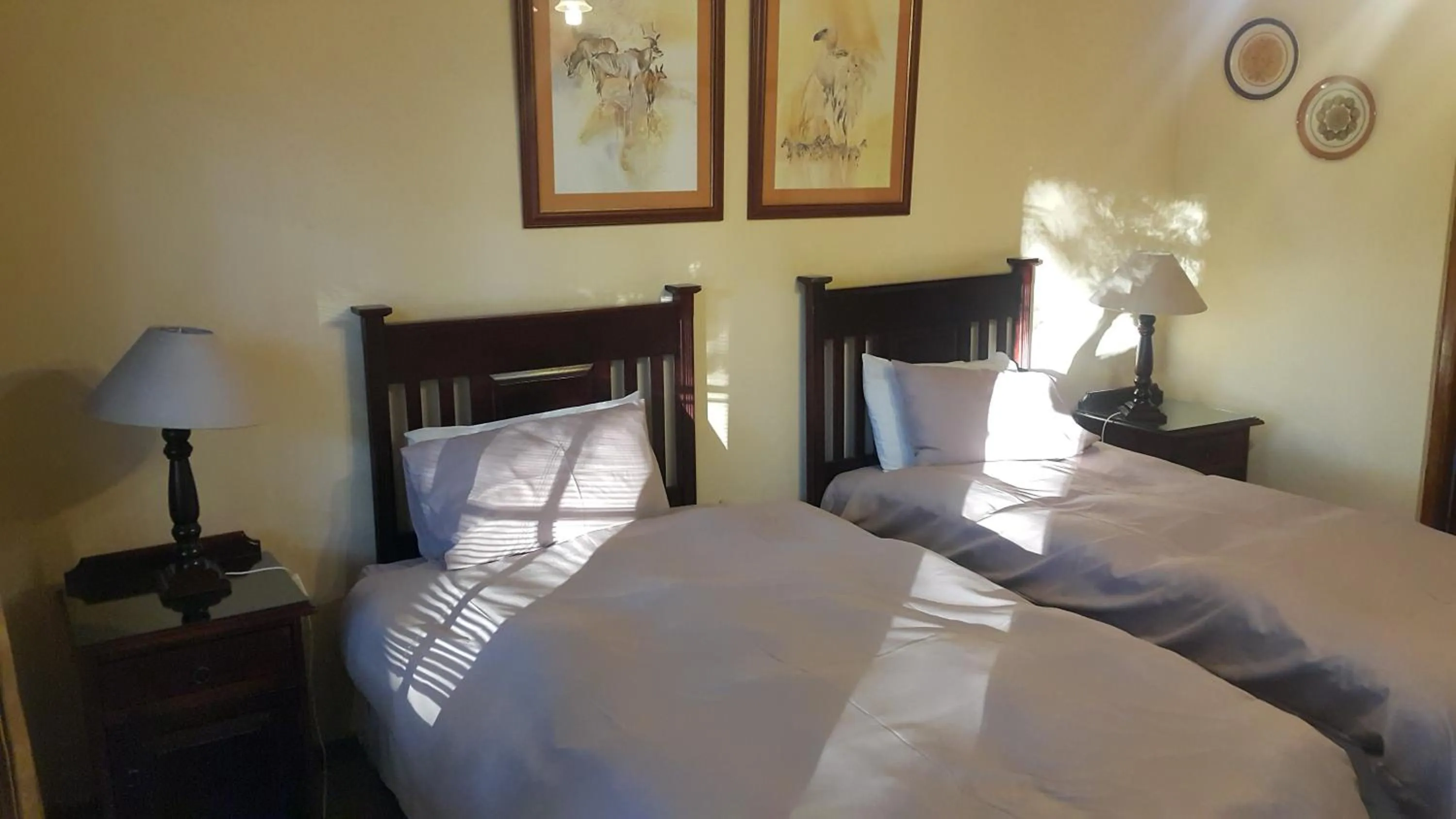 Bed in Albatross B&B