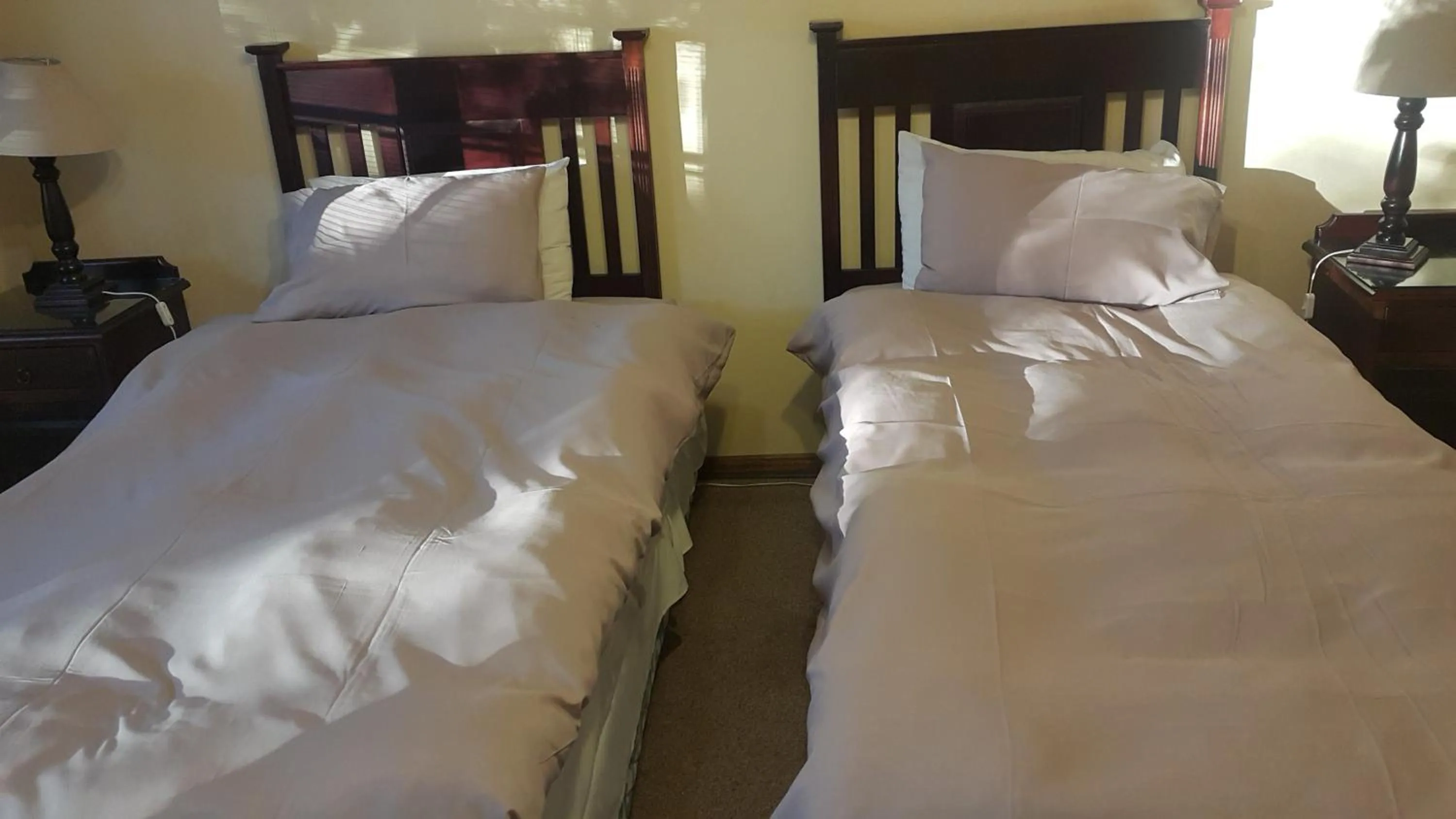 Bed in Albatross B&B