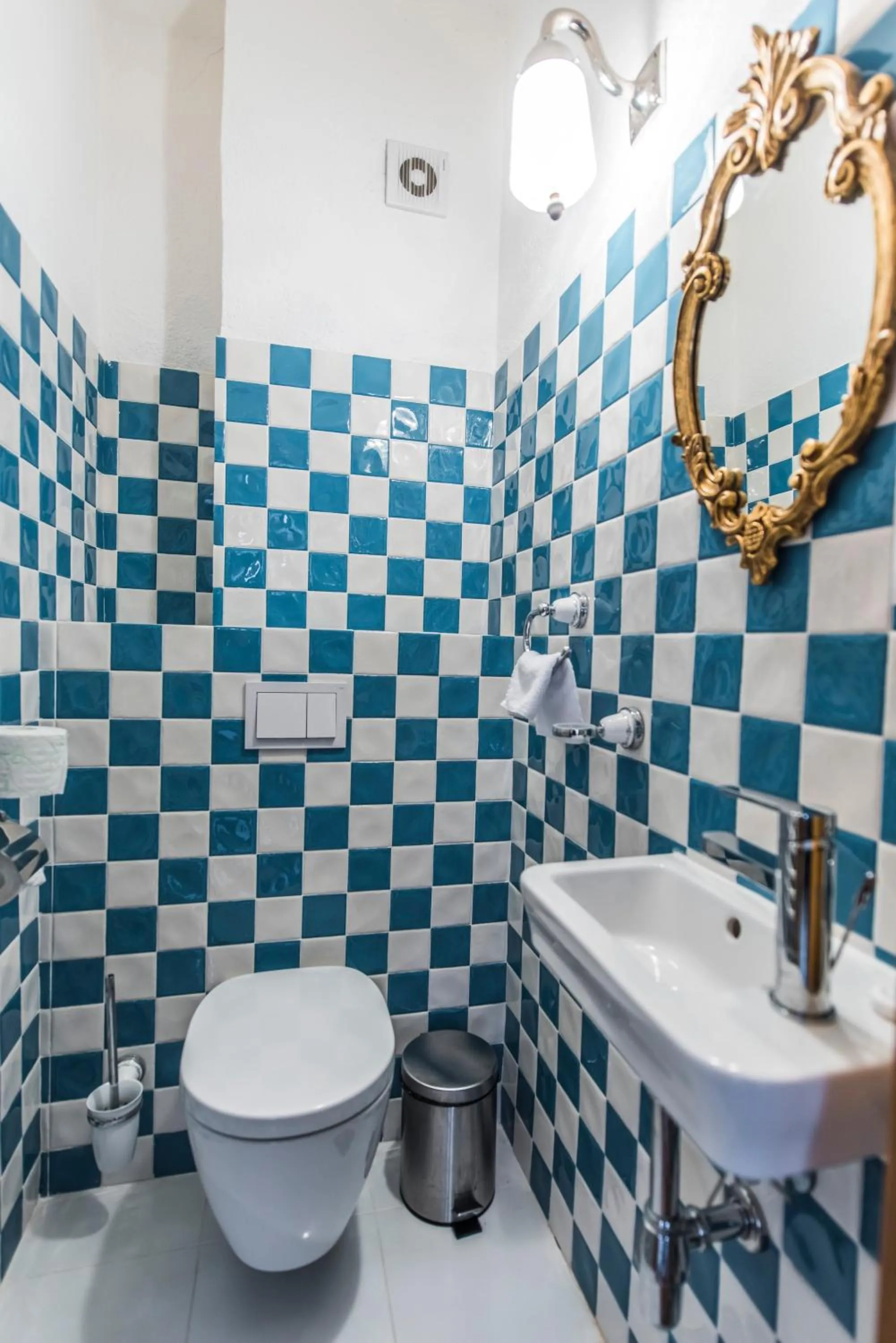 Toilet in Casa Veche