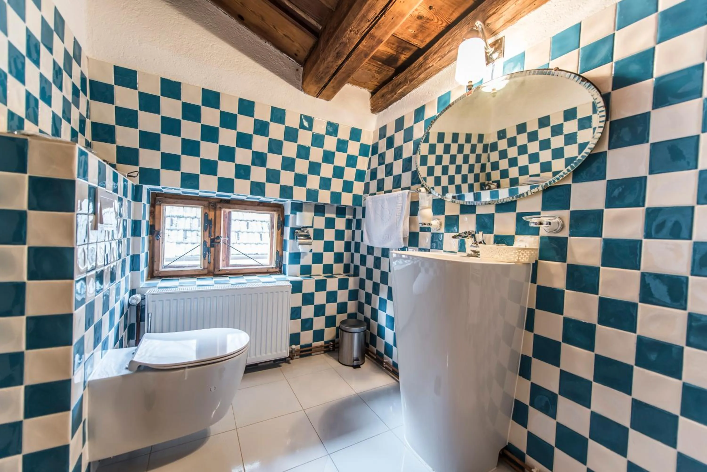 Toilet in Casa Veche