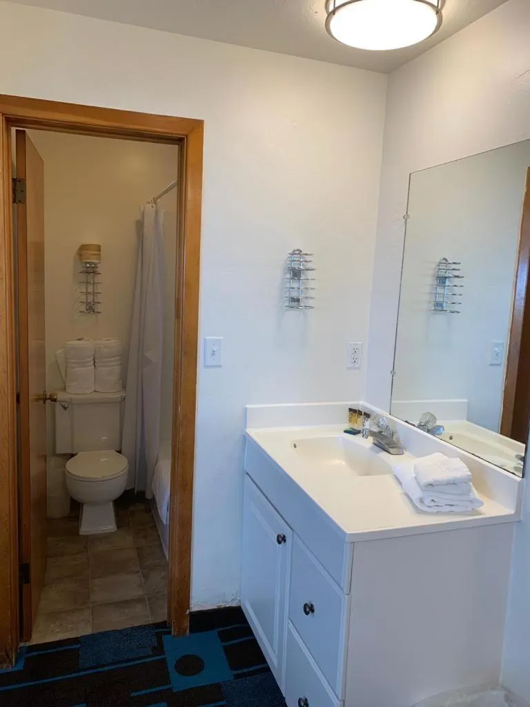 Toilet in The Sands Motel