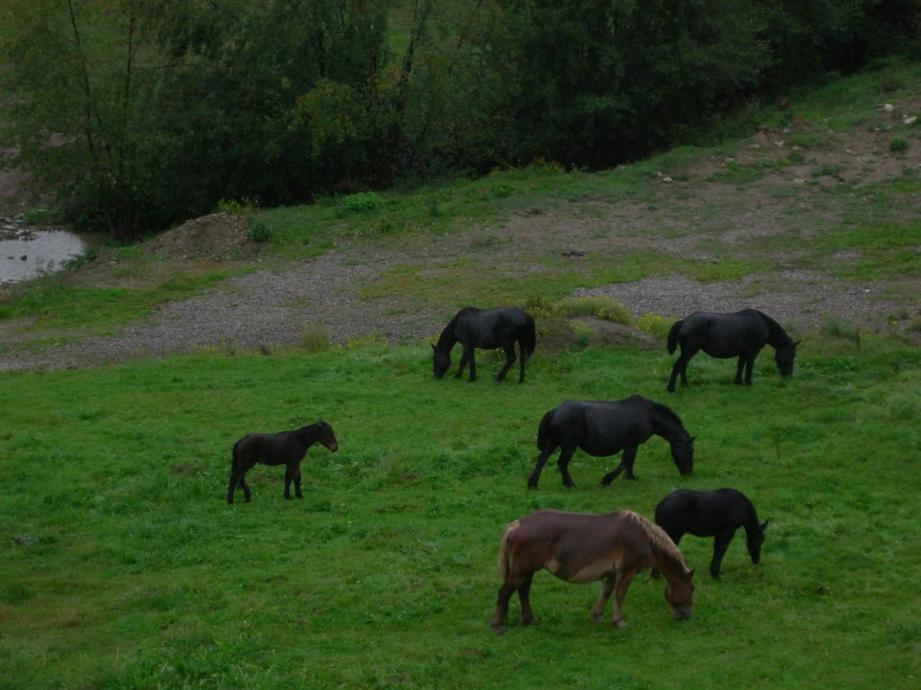 View (from property/room) in Hotel Cal Martri