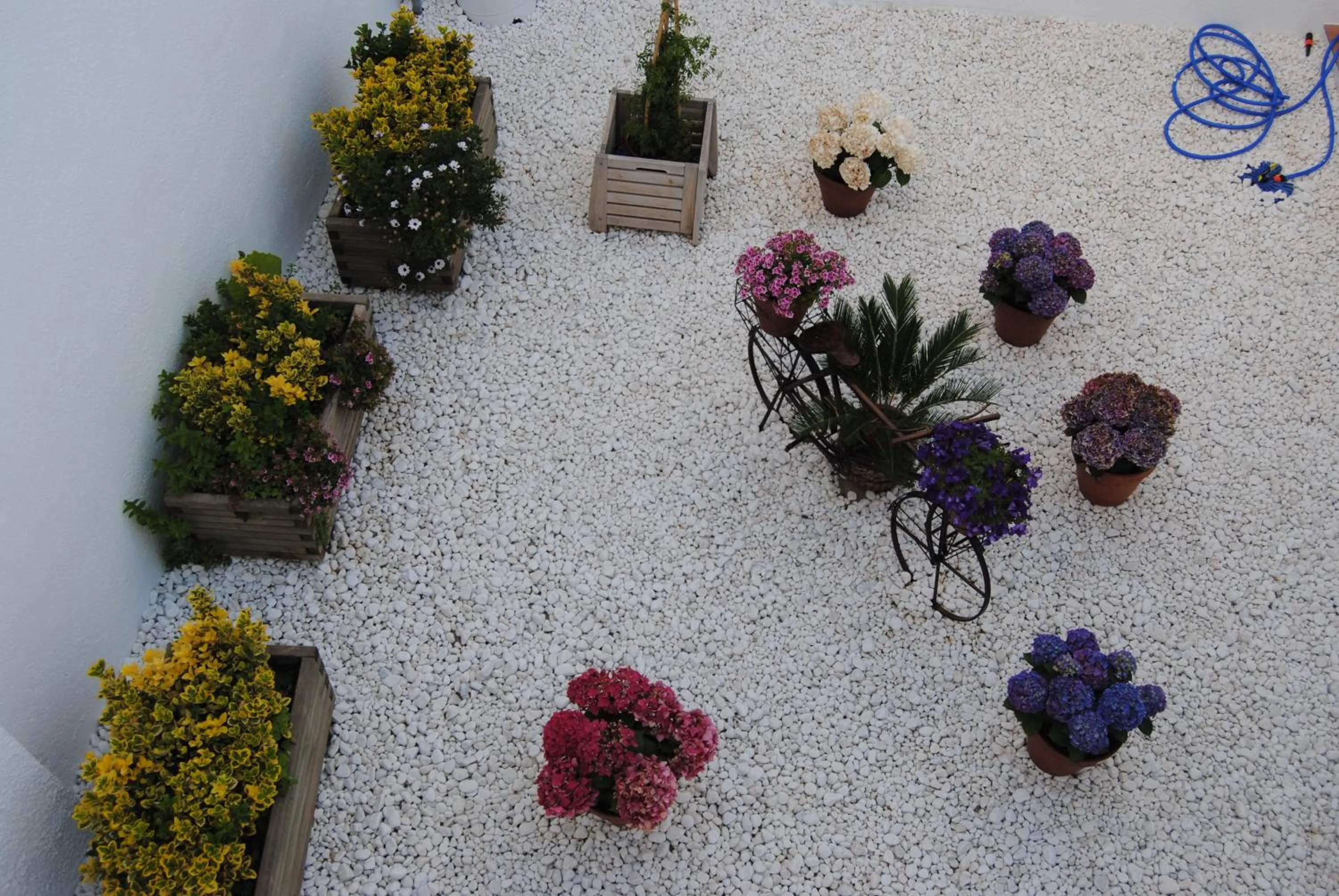 Garden in Hotel Victoria