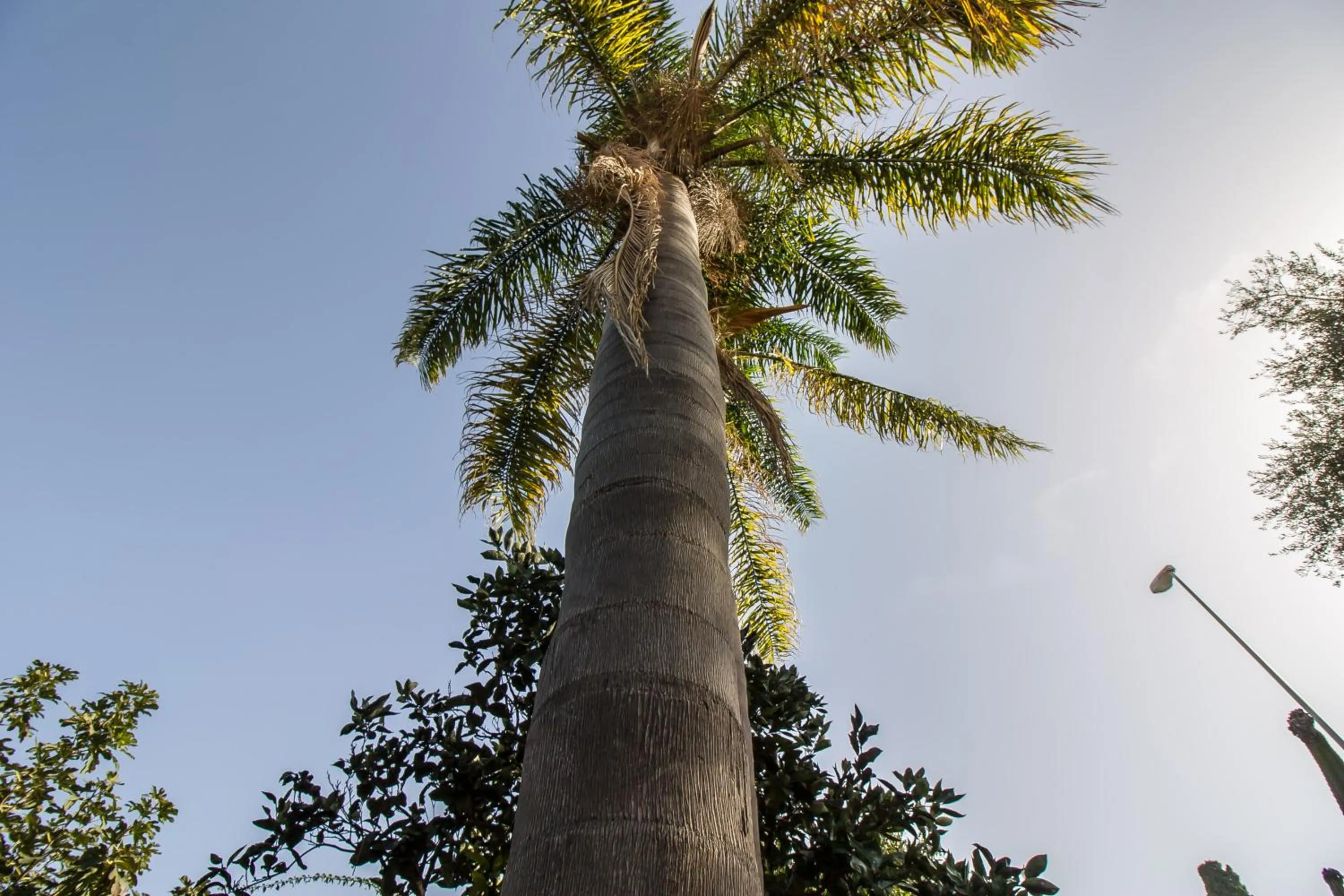 Property building in B&B Le Muse