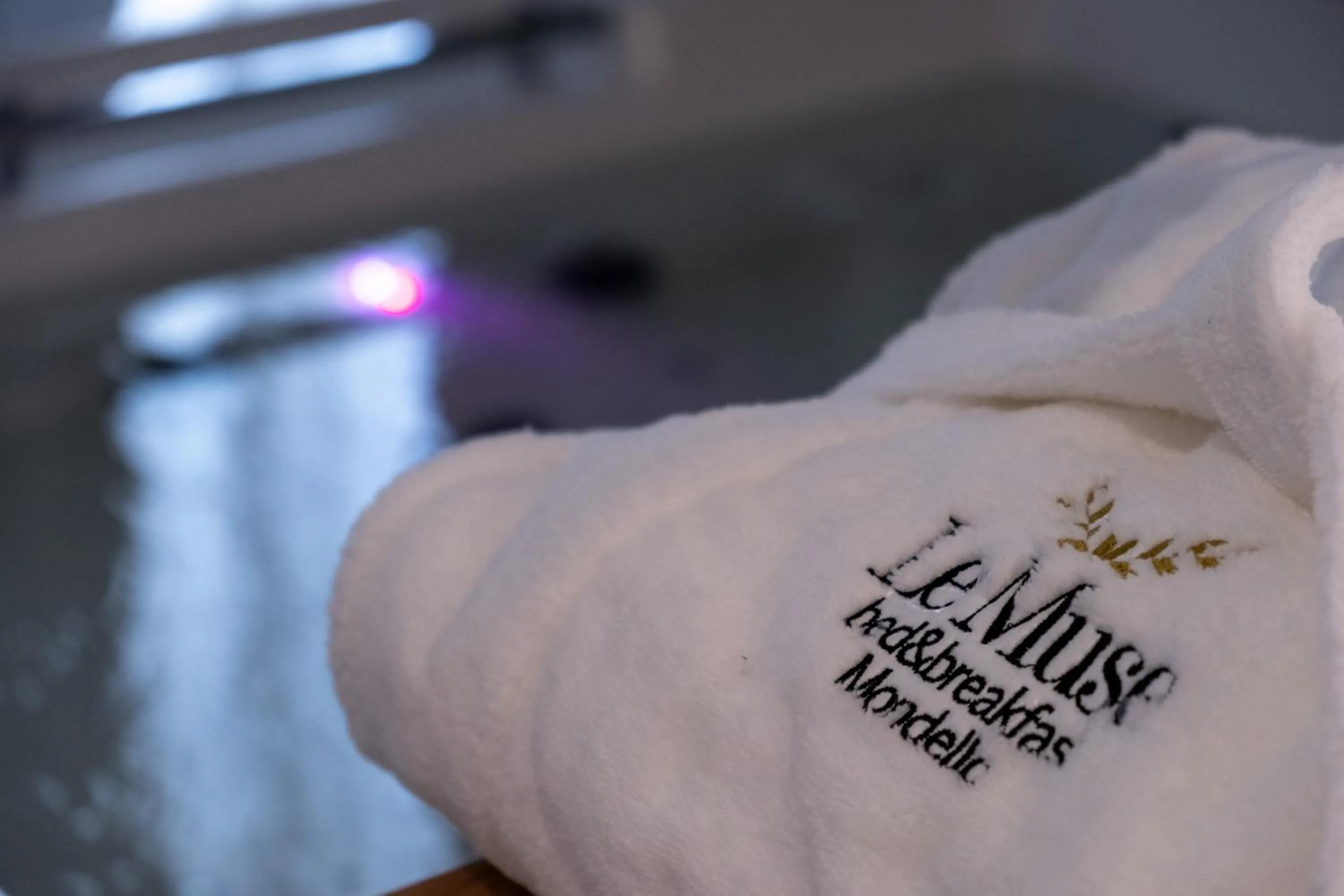 Property logo or sign in B&B Le Muse