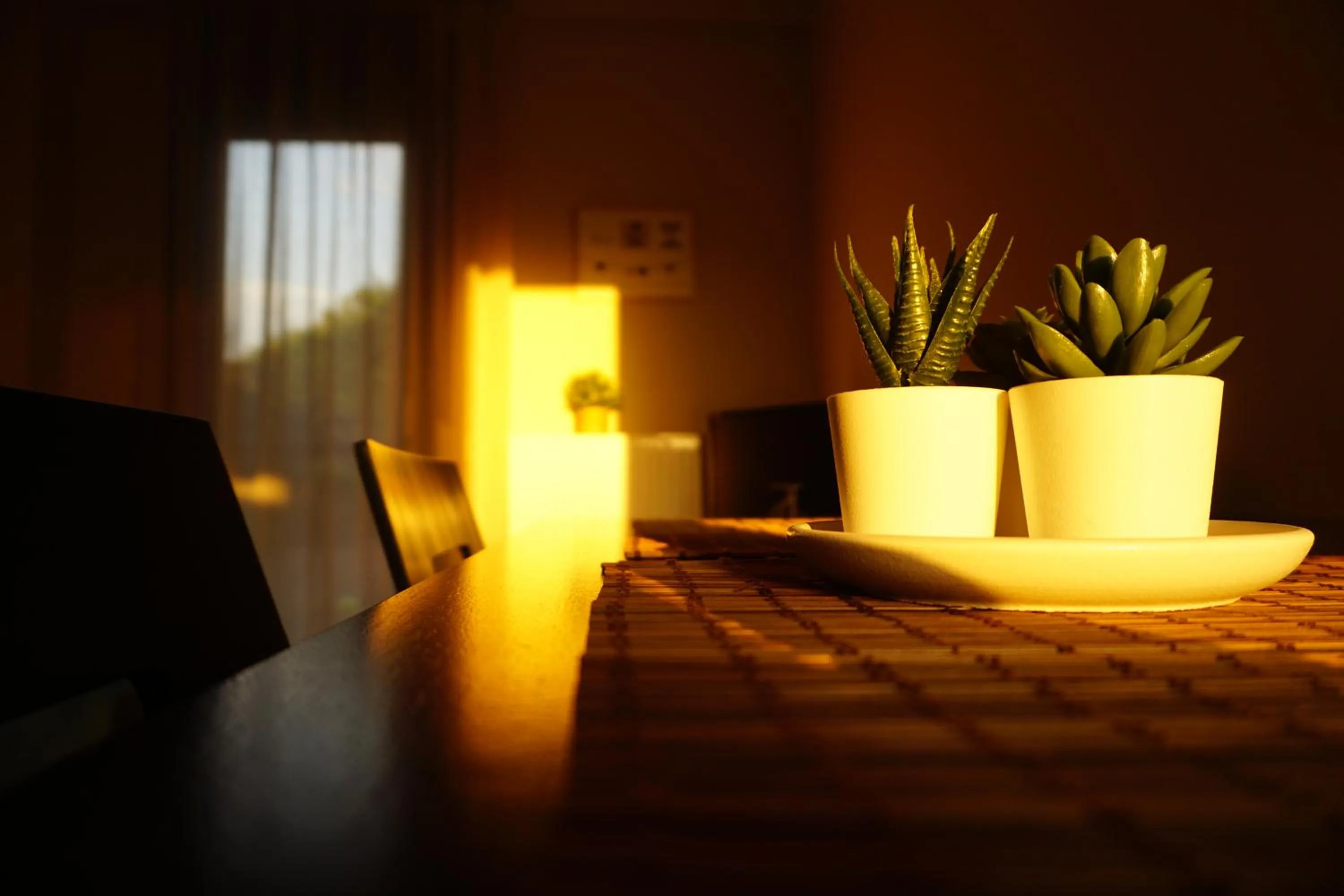 Summer in Villa Orama