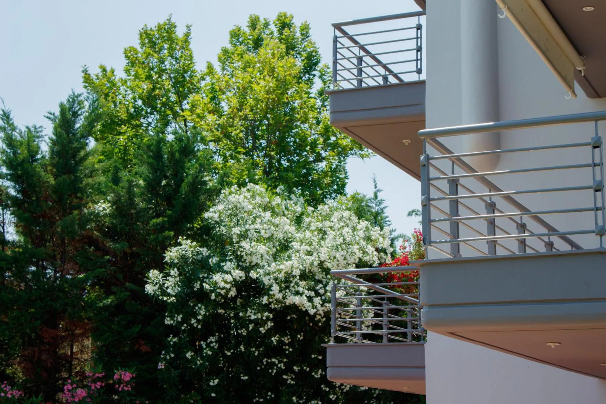 Property building in Villa Orama