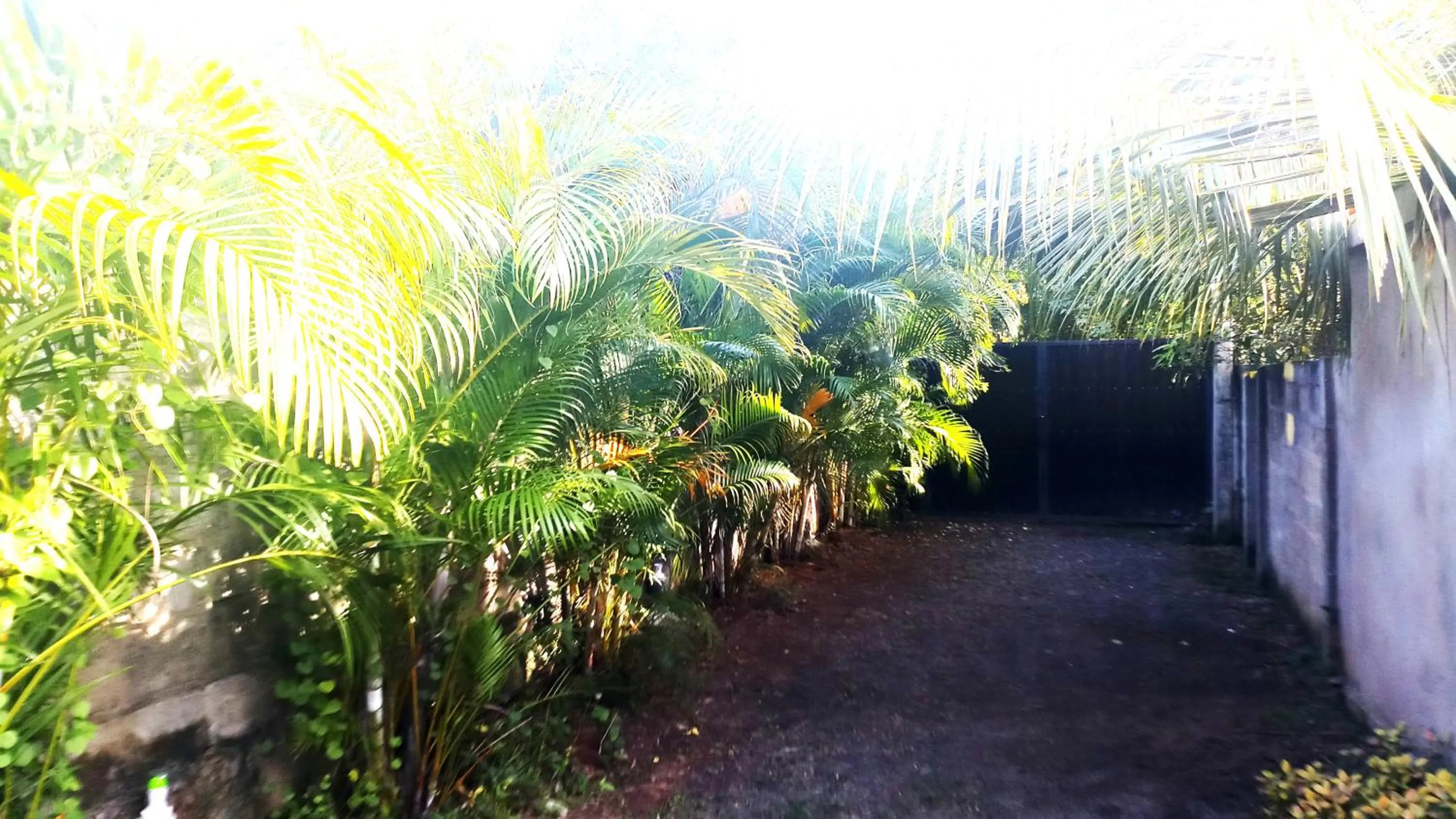 Facade/entrance in Eagle Homestay