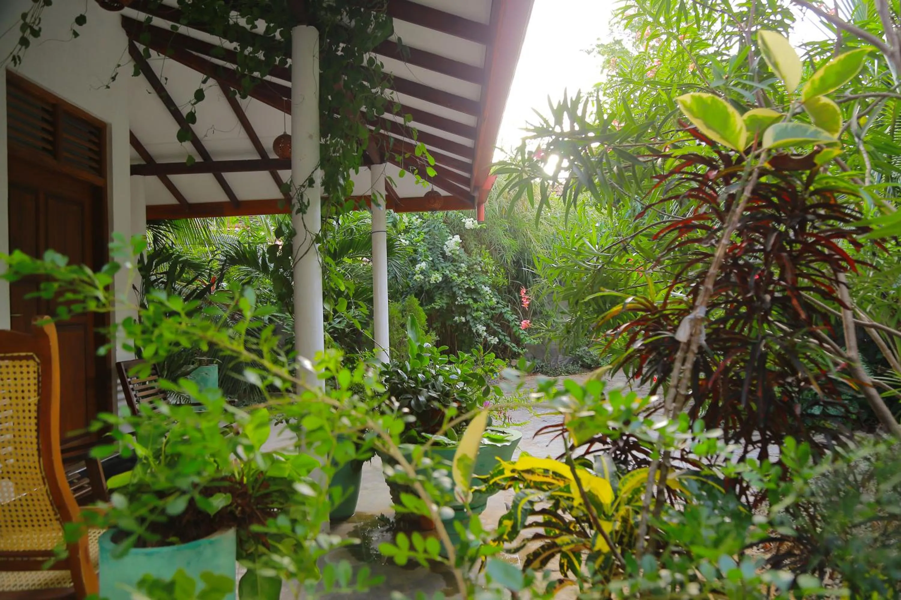 Garden in Eagle Homestay