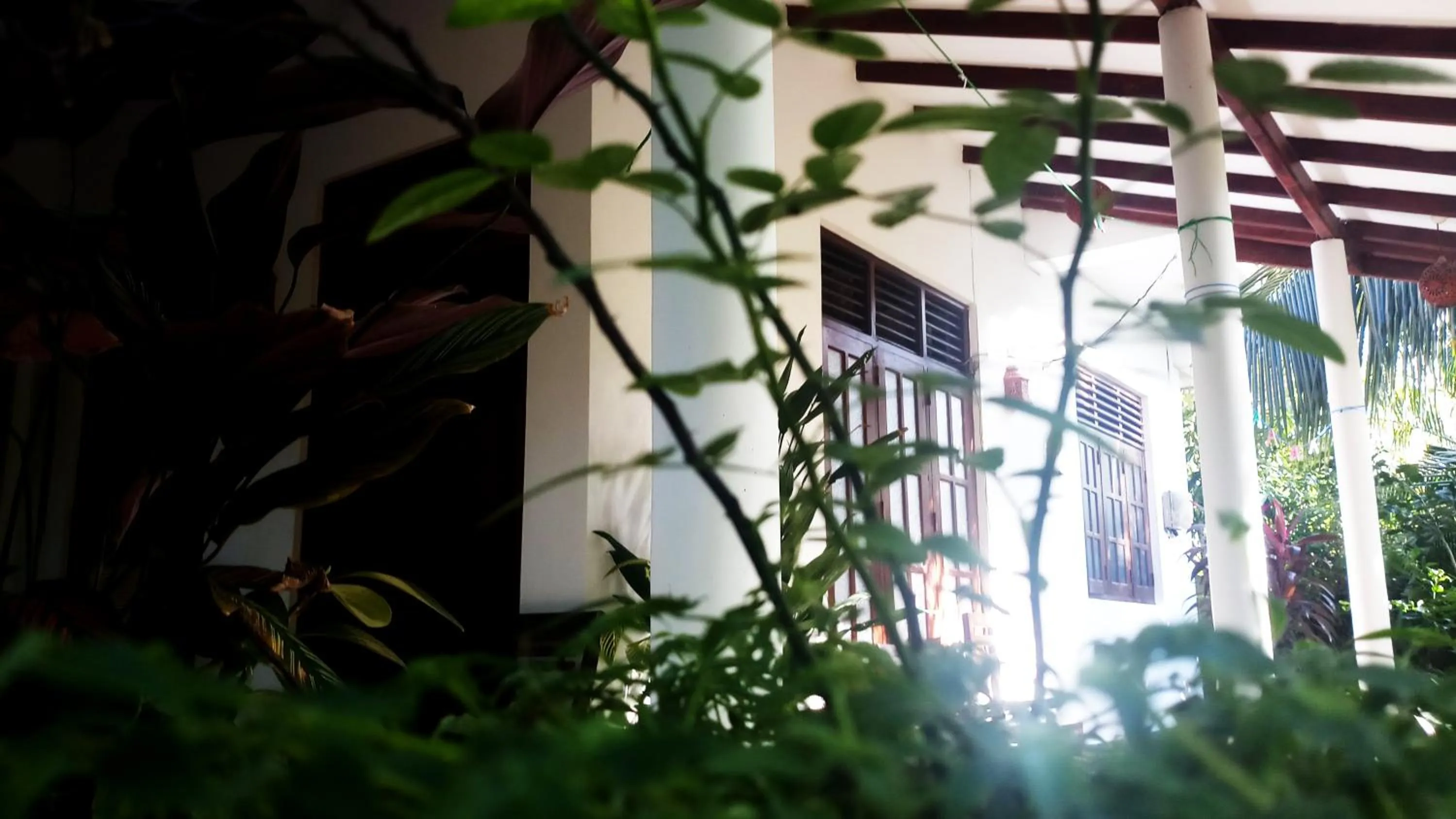 Property building in Eagle Homestay