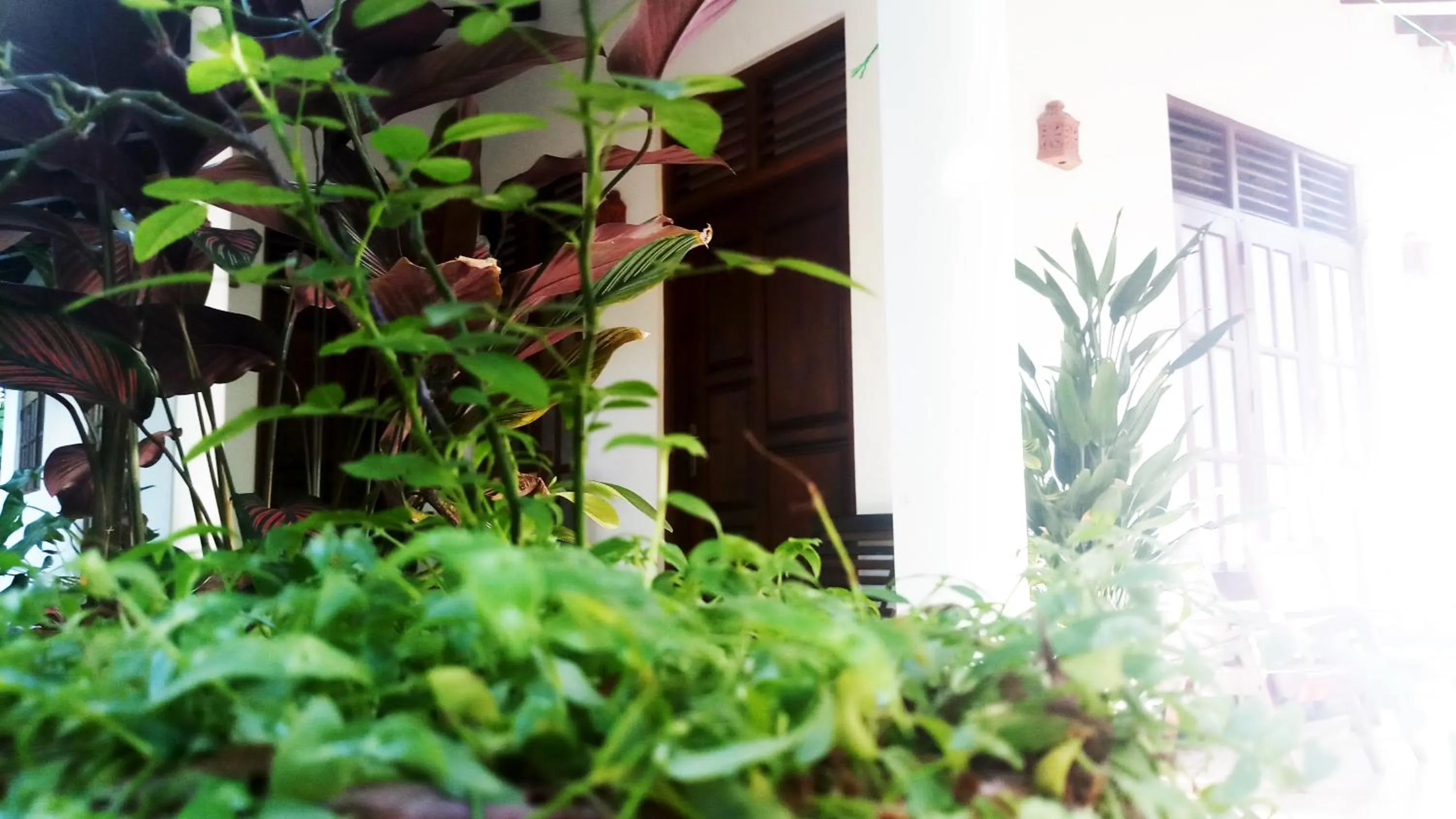 Property building in Eagle Homestay