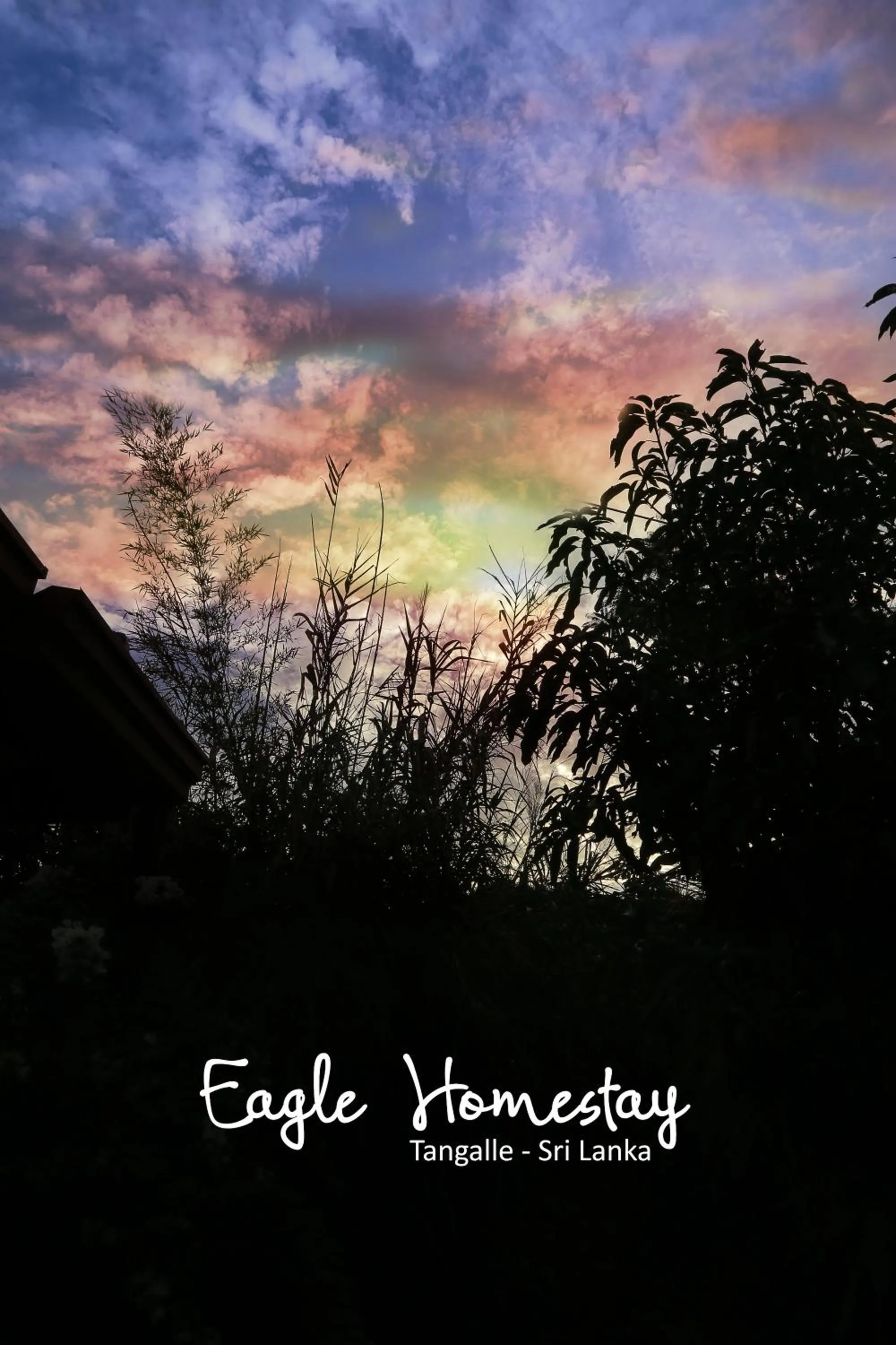 Property logo or sign in Eagle Homestay