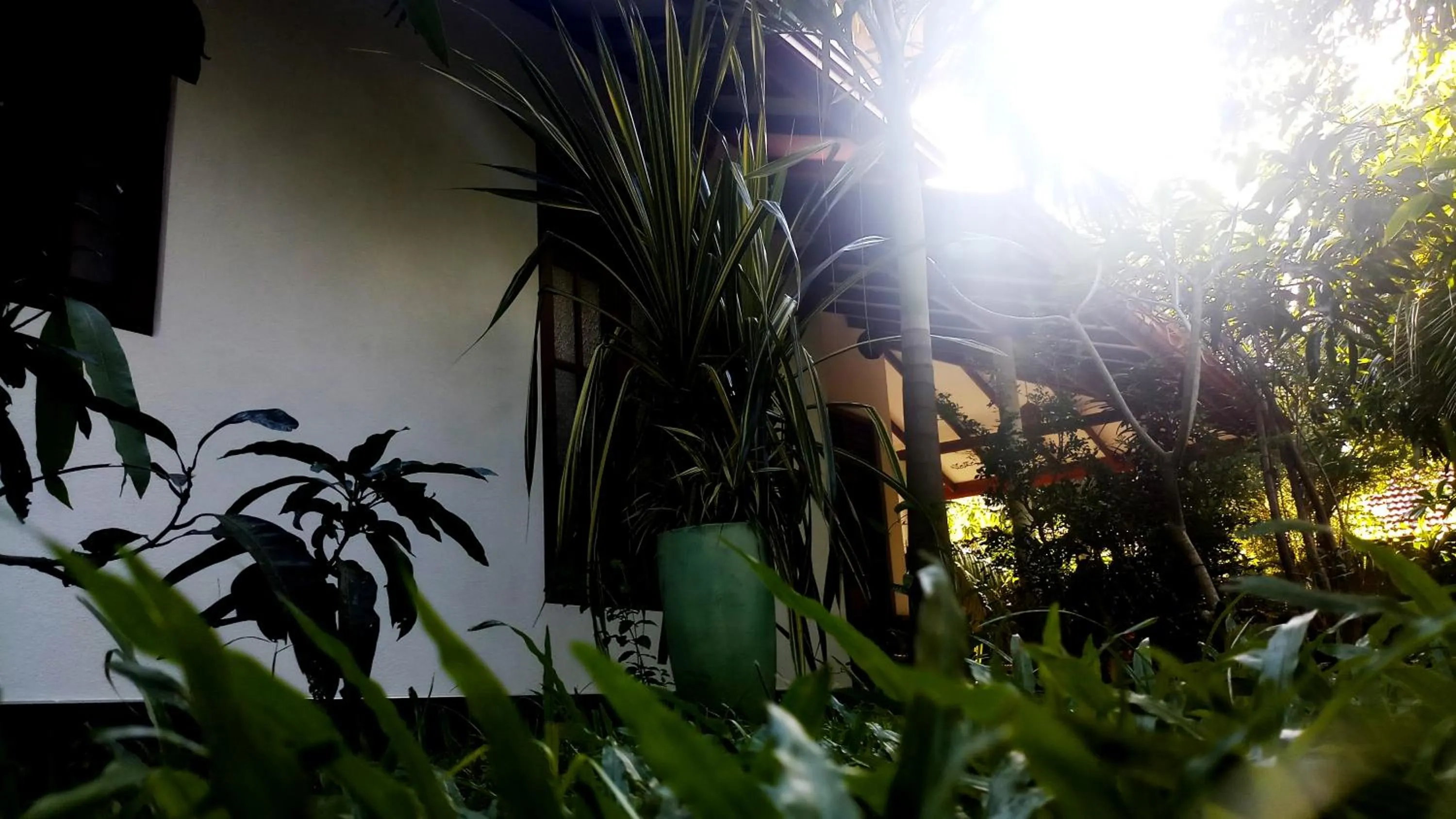 Natural landscape in Eagle Homestay