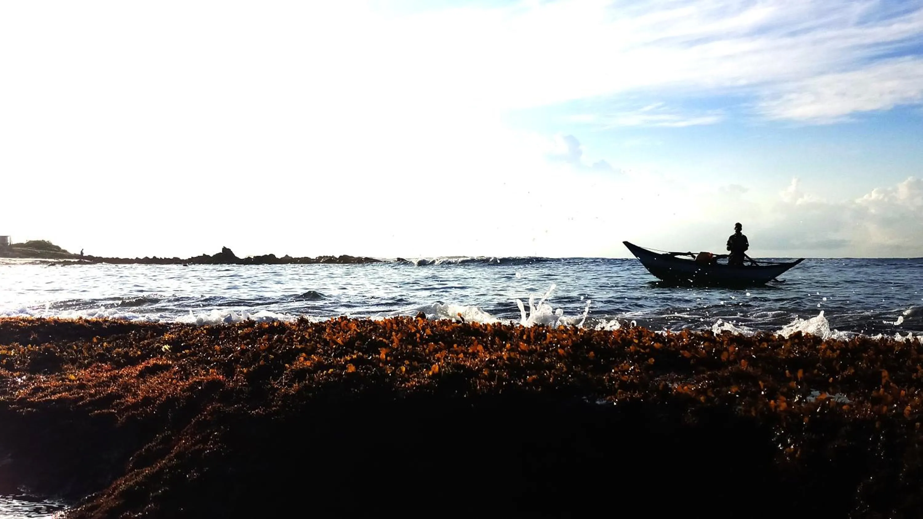 Beach in Eagle Homestay