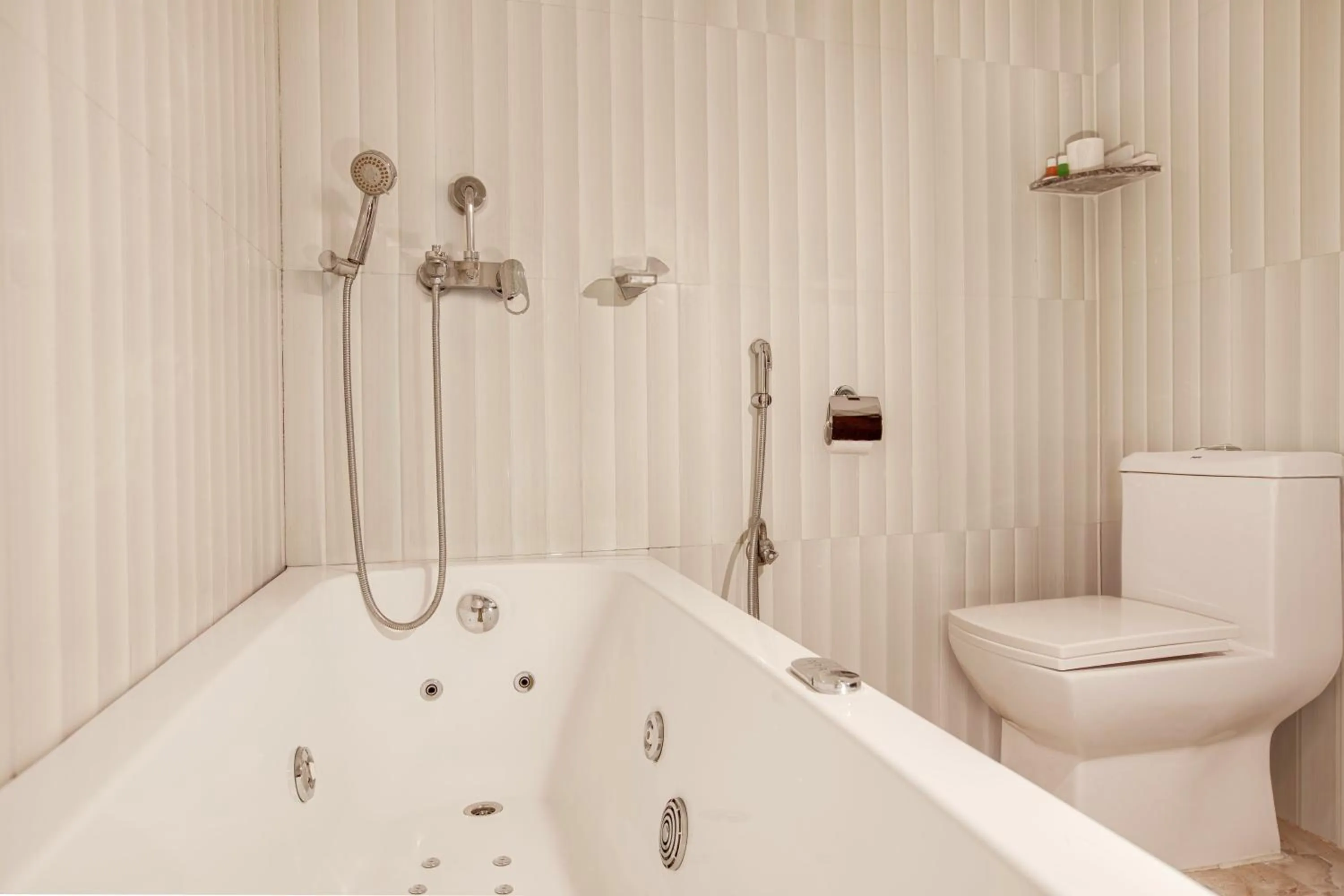 Shower in Mount View Pokhara