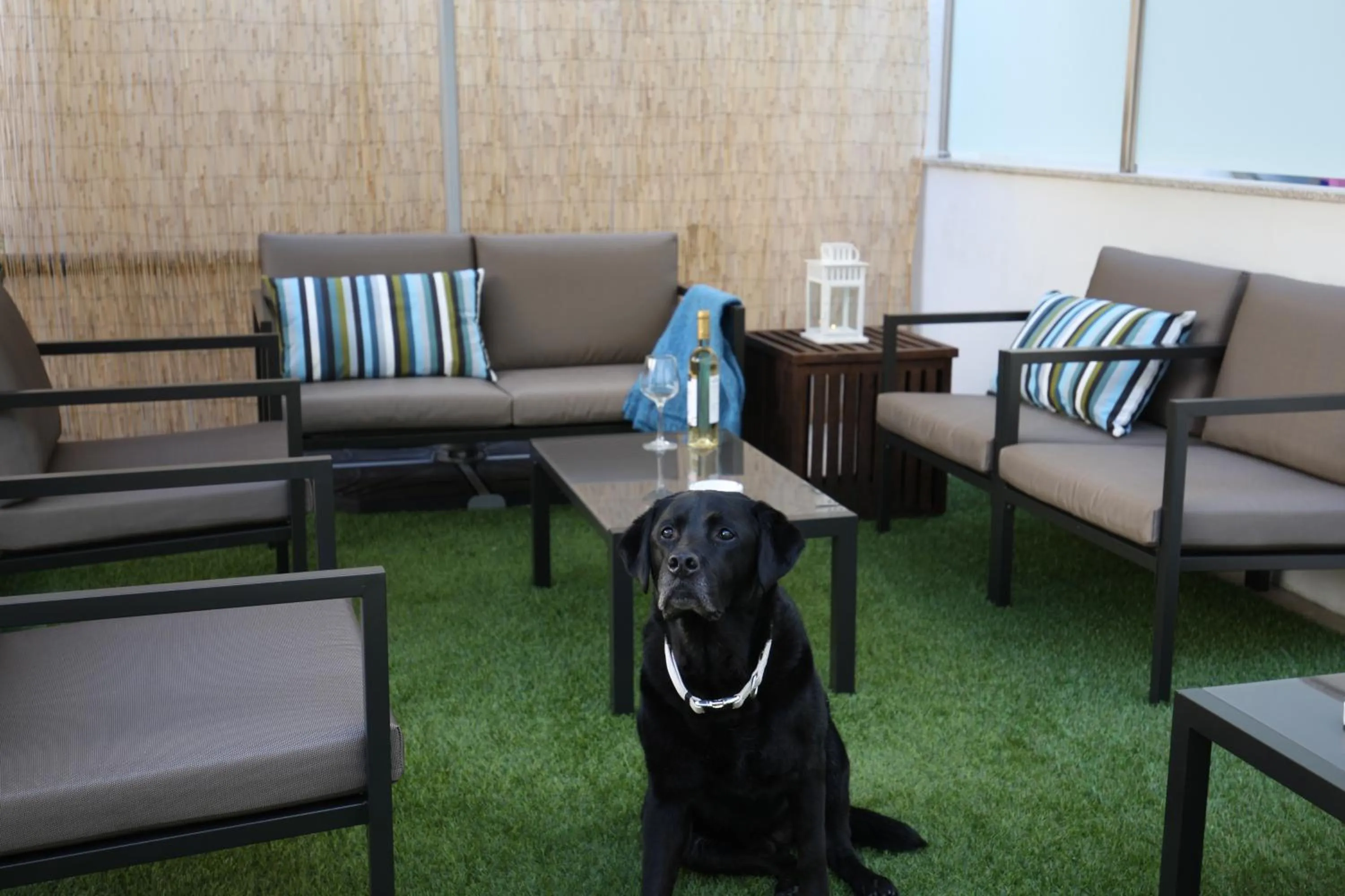 Patio in Fishtail Sea House