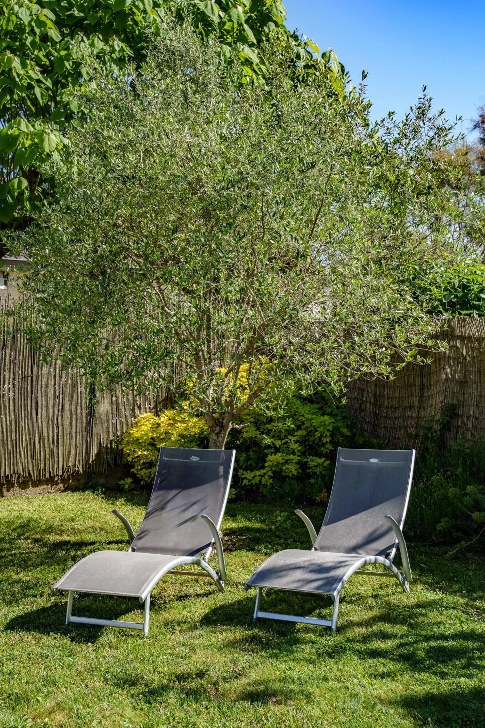 Spring in La Villa Pop