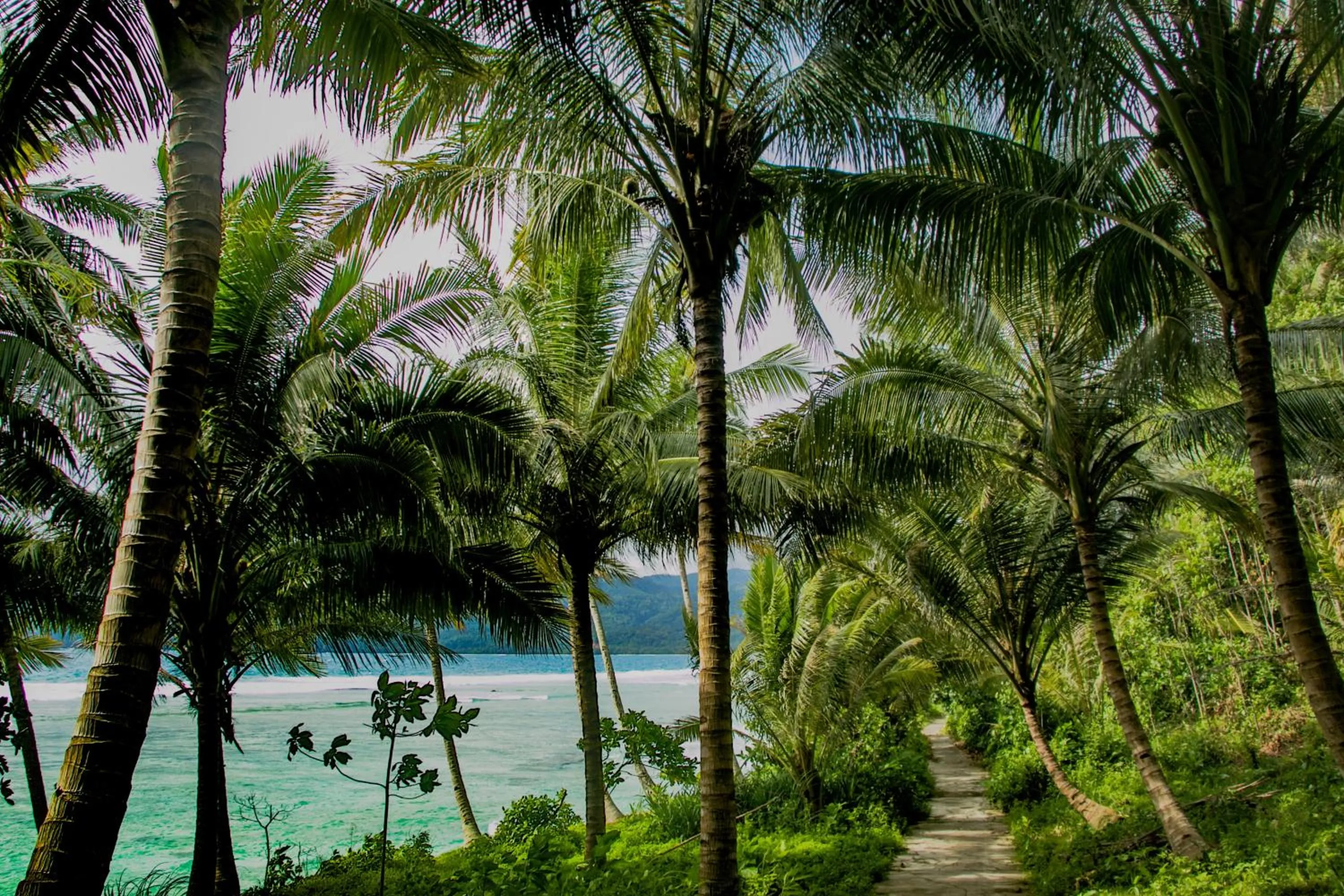 Nearby landmark in Sumatra Surf Resort