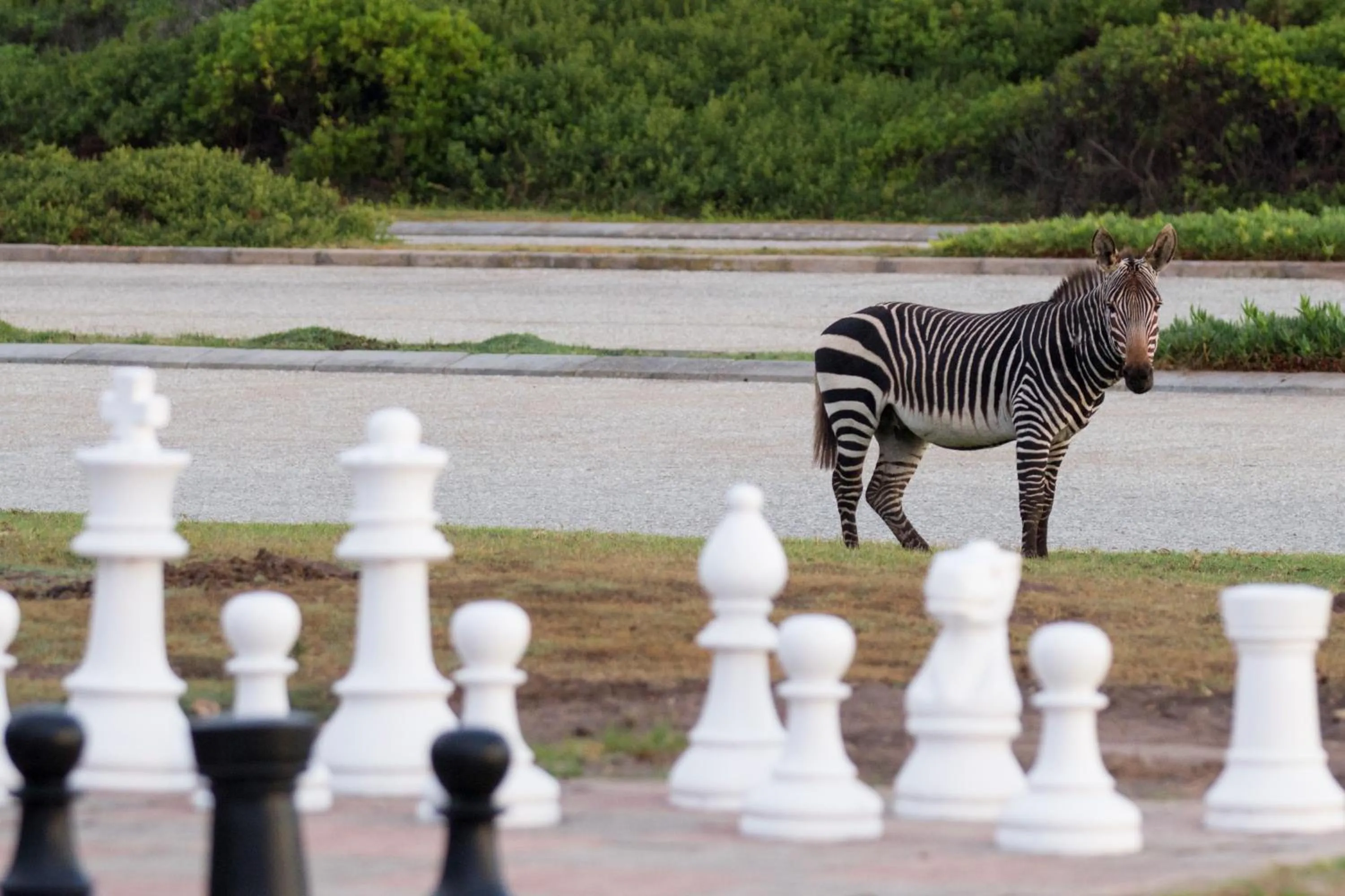 Property building in Gourikwa Coastal Nature Reserve