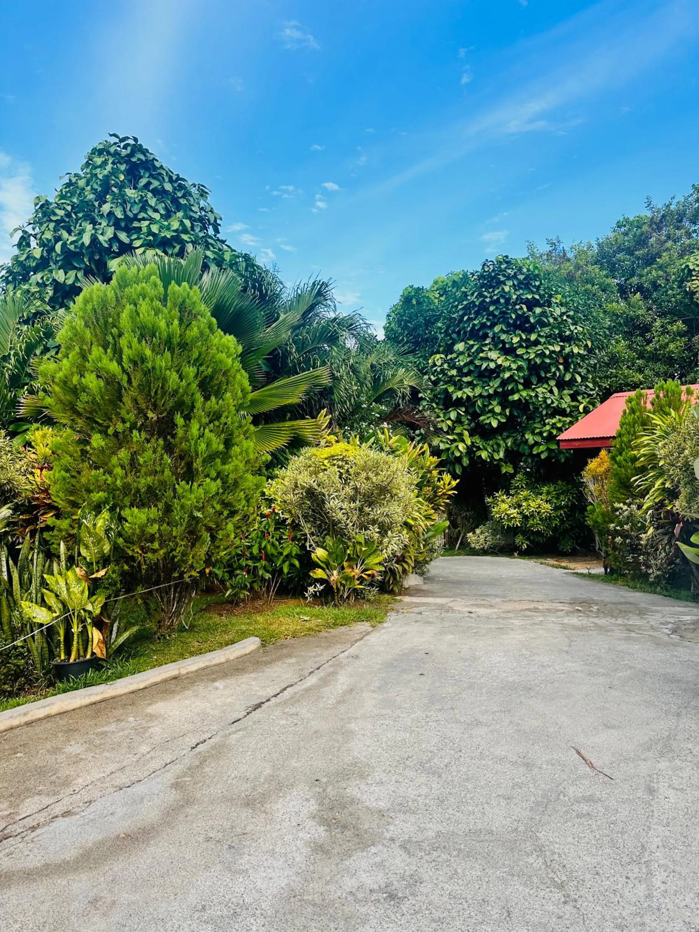 Alha Villa