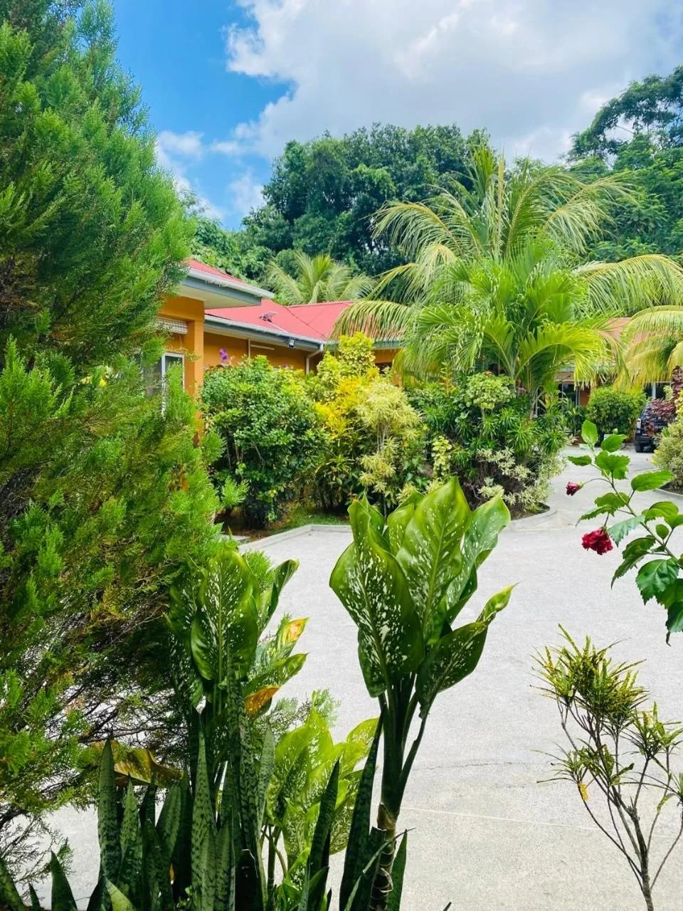 Alha Villa