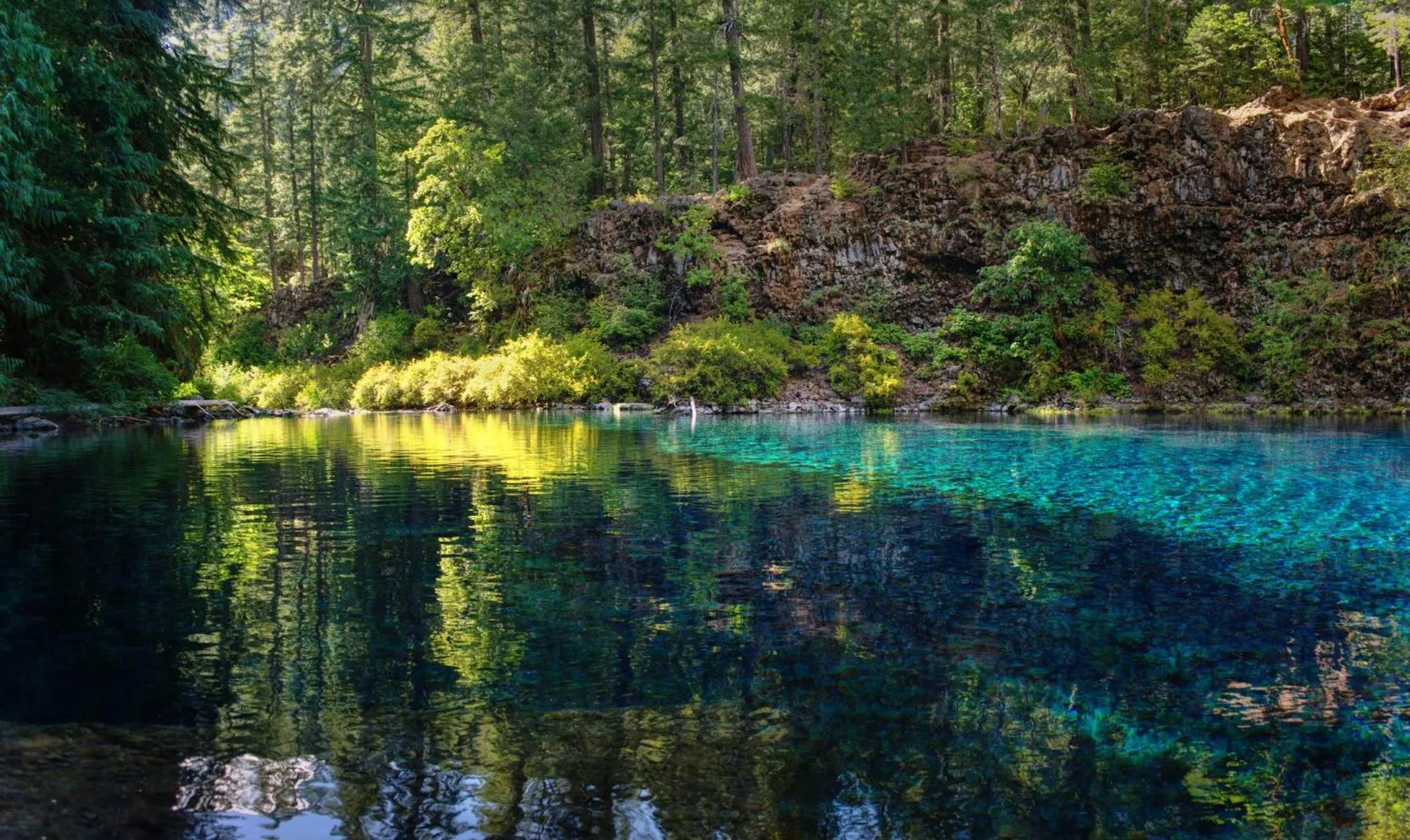 Nearby landmark in Holiday Inn Portland West - Hillsboro by IHG