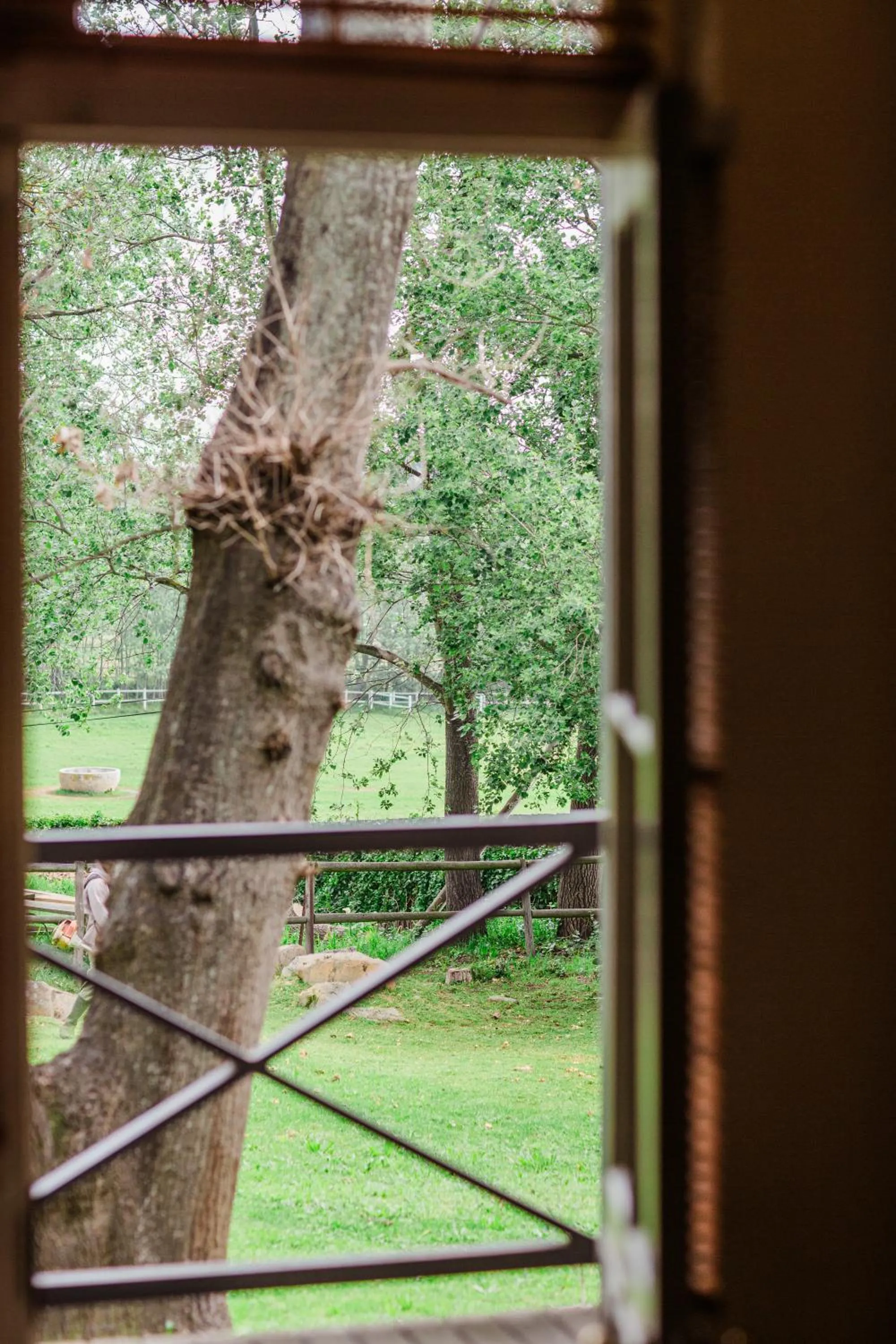 View (from property/room) in Marshden Estate