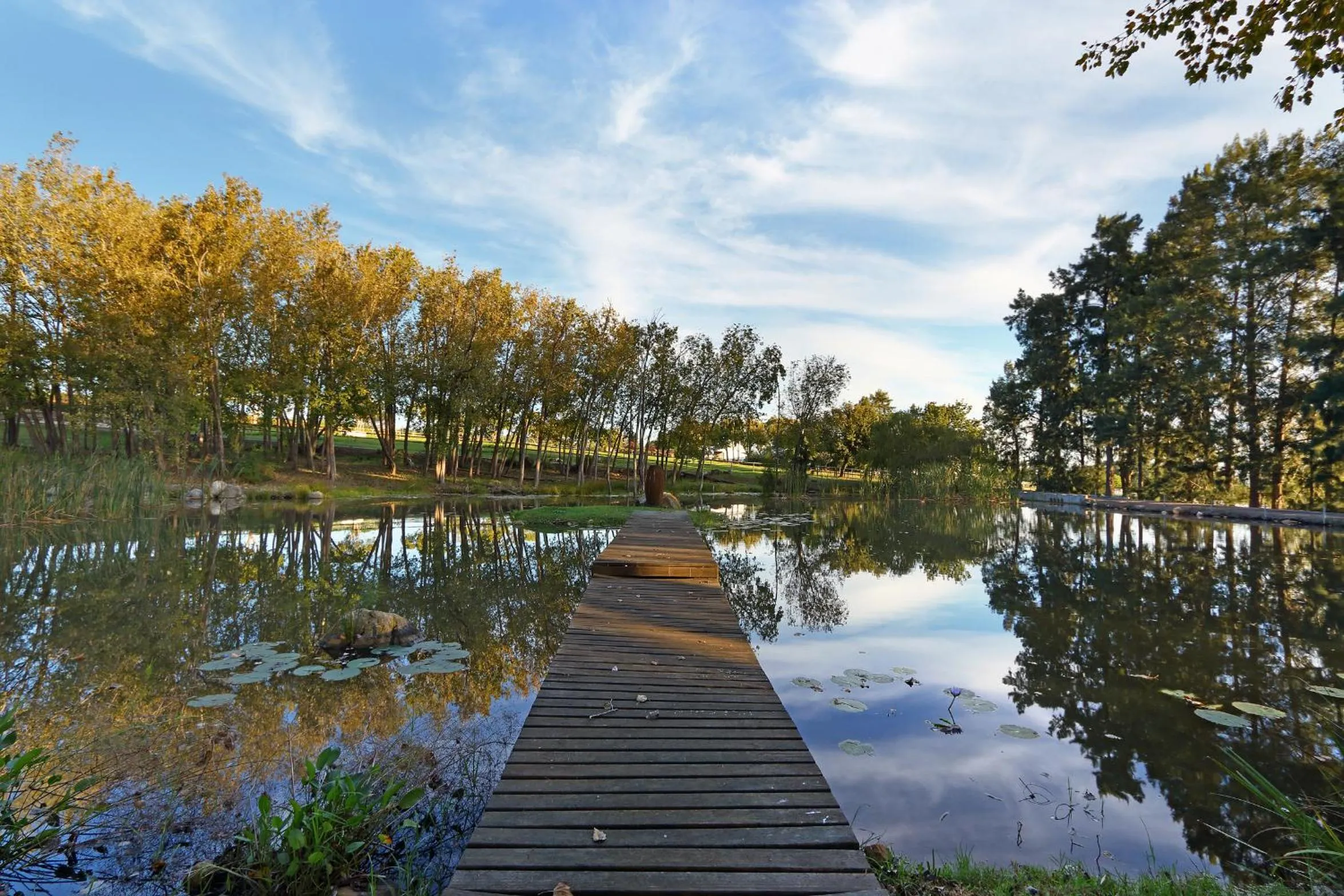 Natural landscape in Marshden Estate