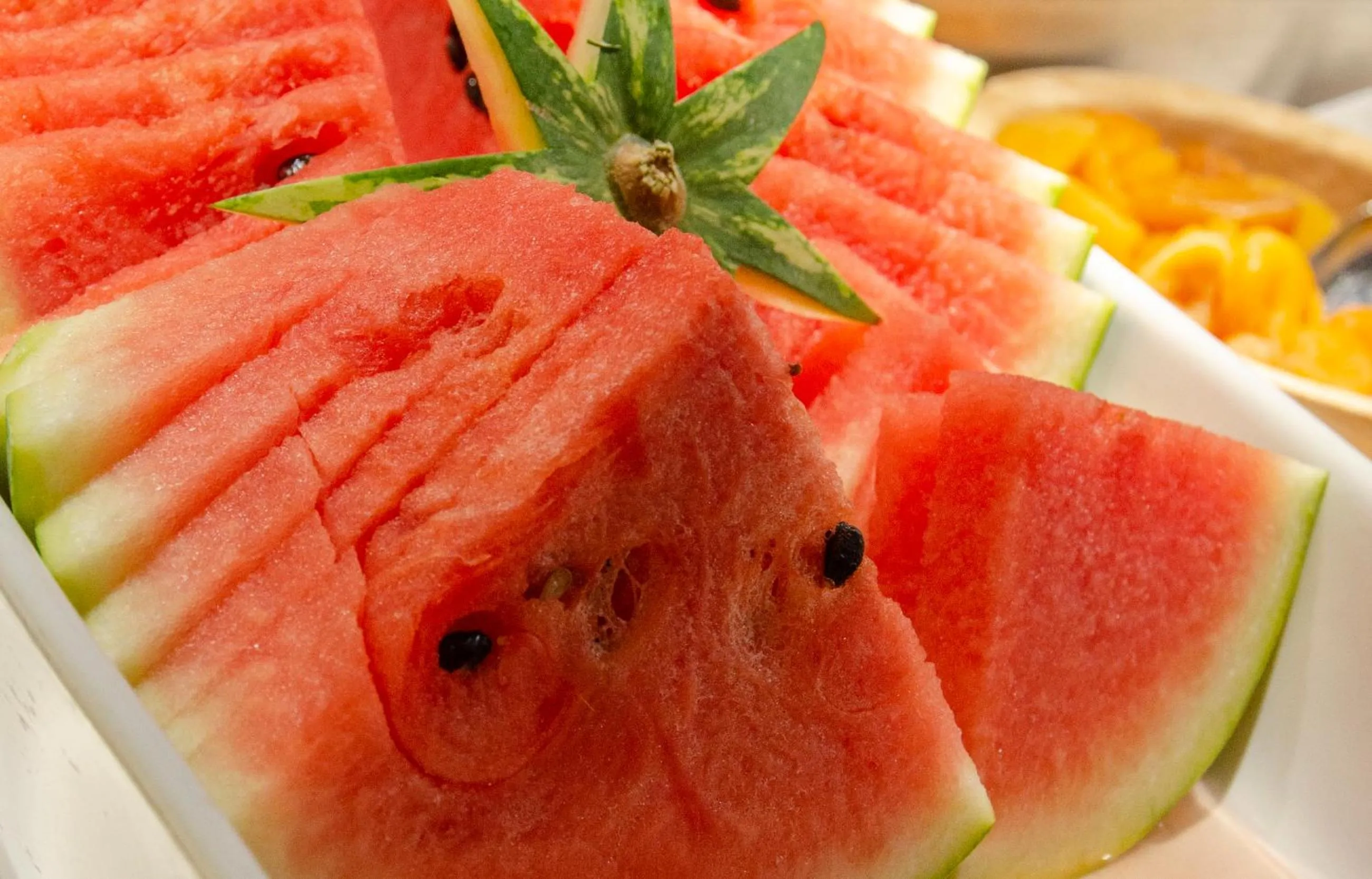 Food in Ski Plaza Hotel & Wellness