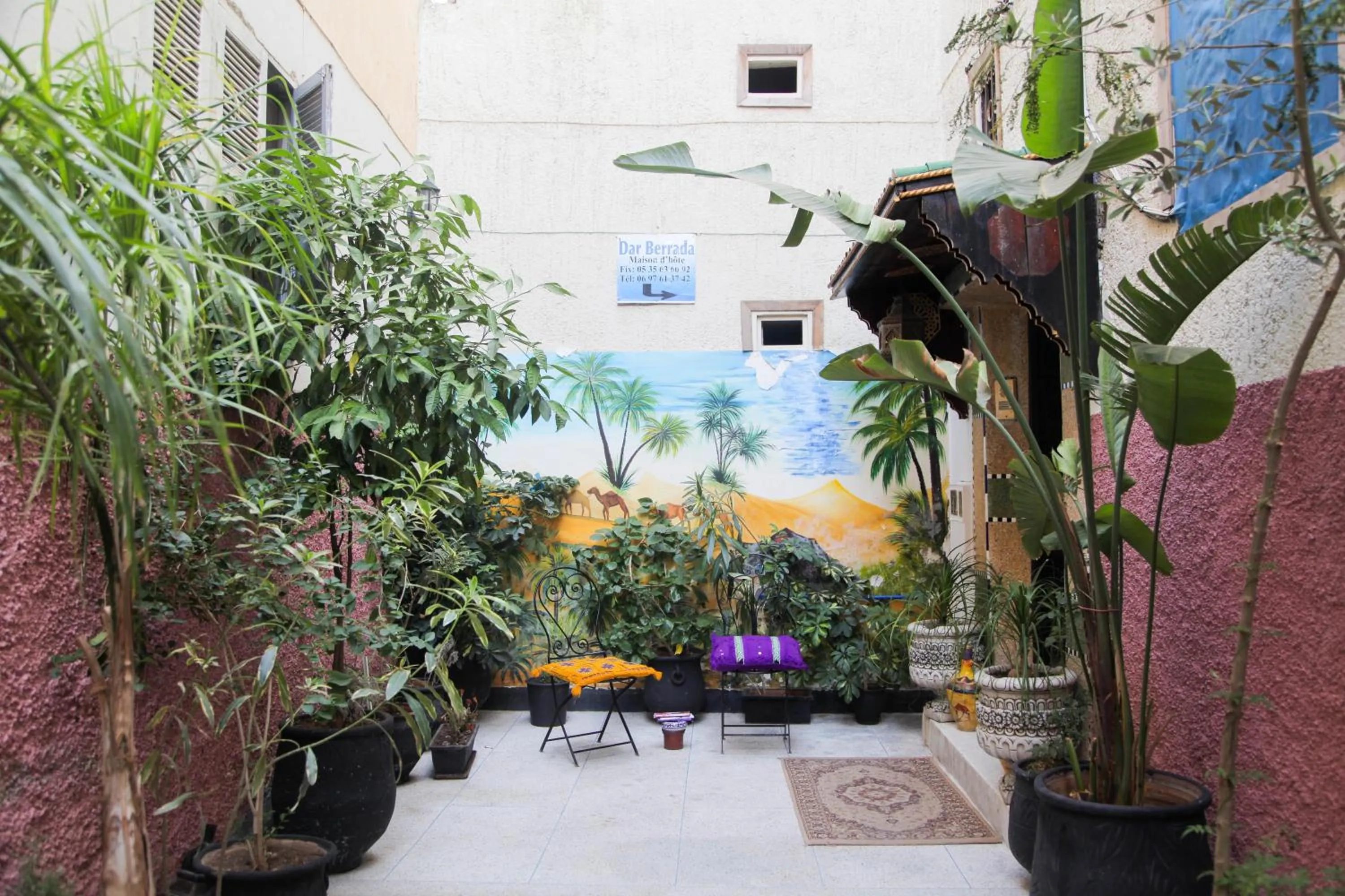 Garden in Dar Berrada-Ziat