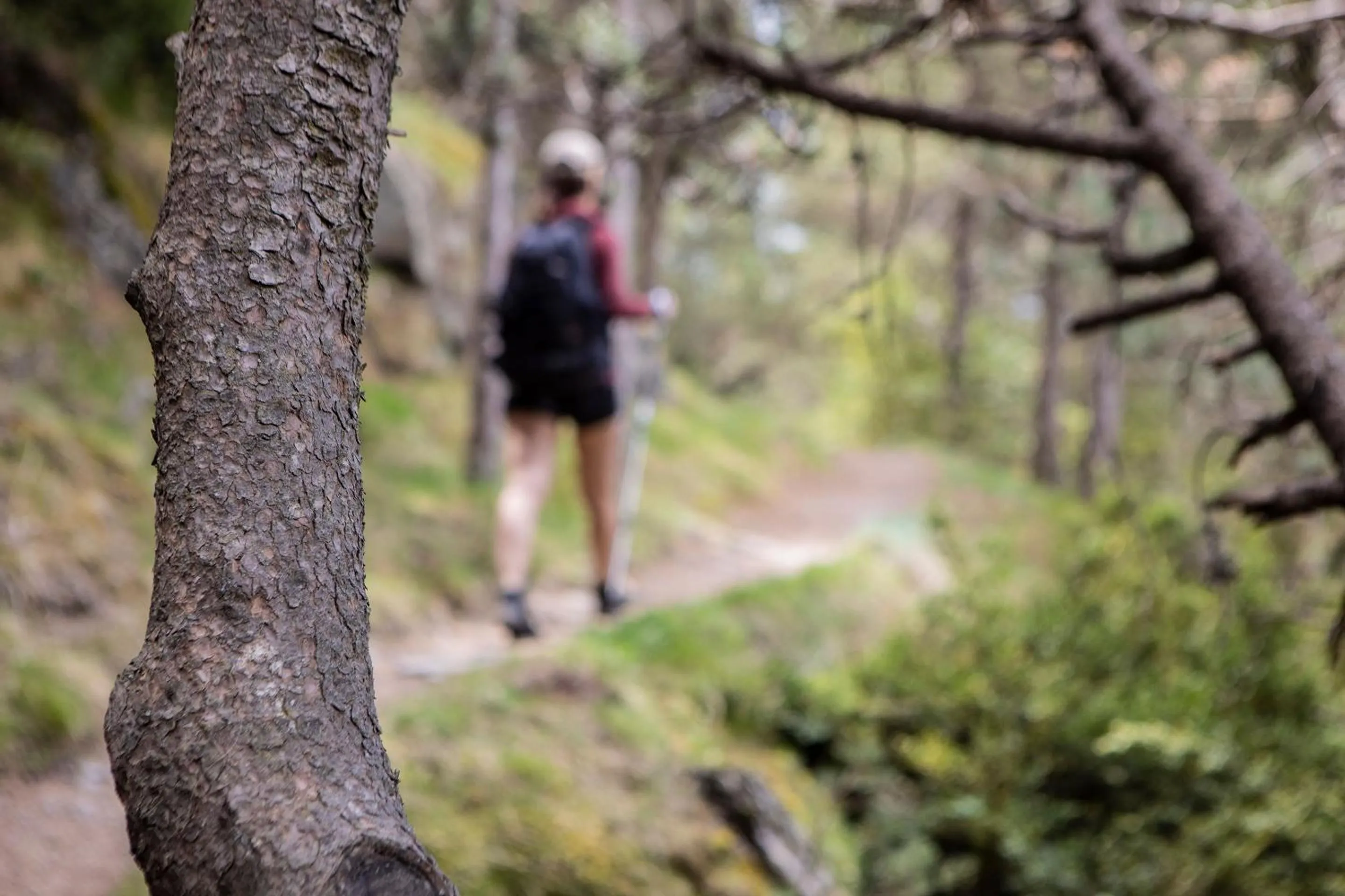 Hiking in Hotel Màgic Andorra by Nexta