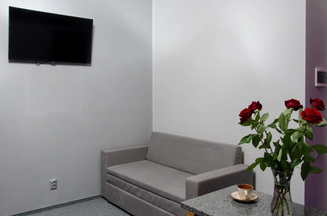 TV and multimedia in Pushkinskaya Apartments