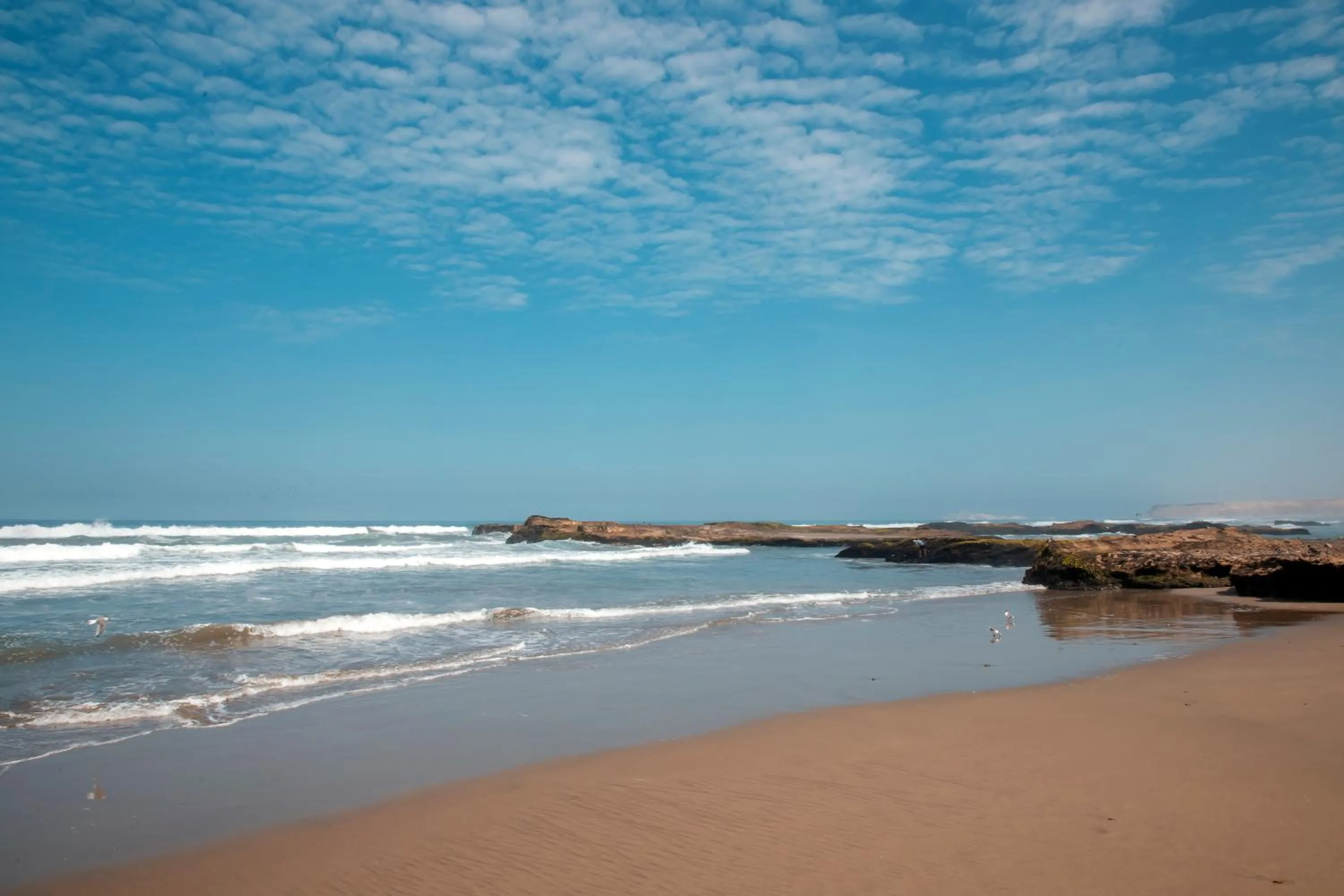 Beach in DM Hoteles Asia