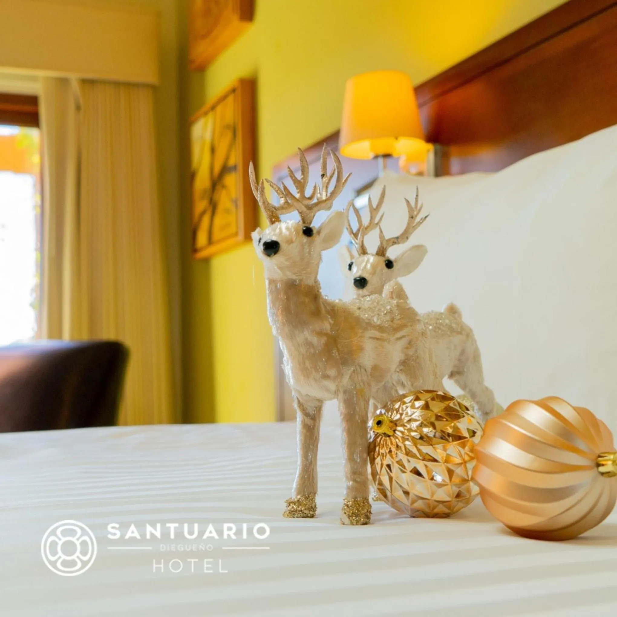 Decorative detail in Santuario Diegueño