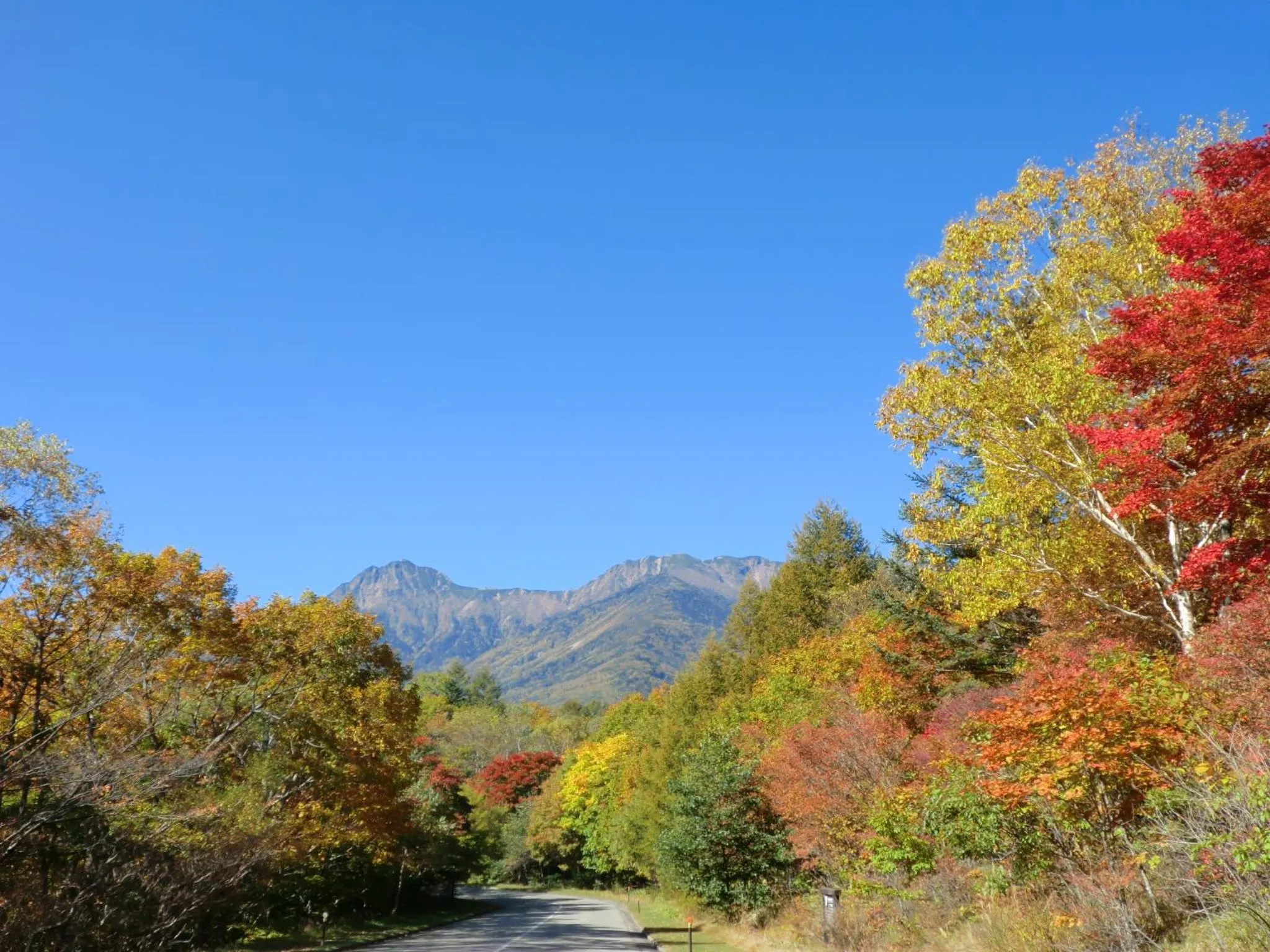 On site in Yatsugatake Kogen Lodge