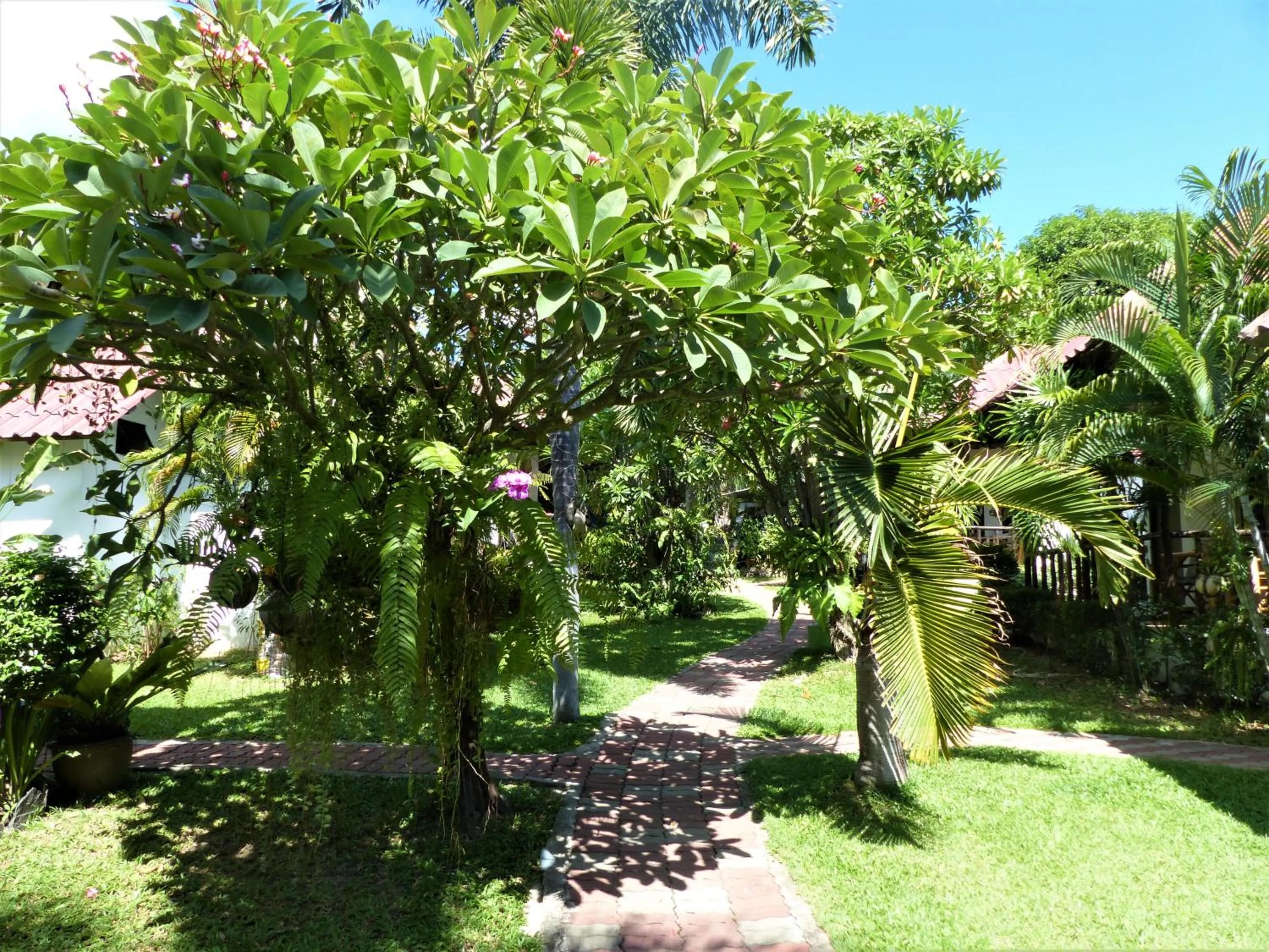 Garden in Bee Nat Garden Resort