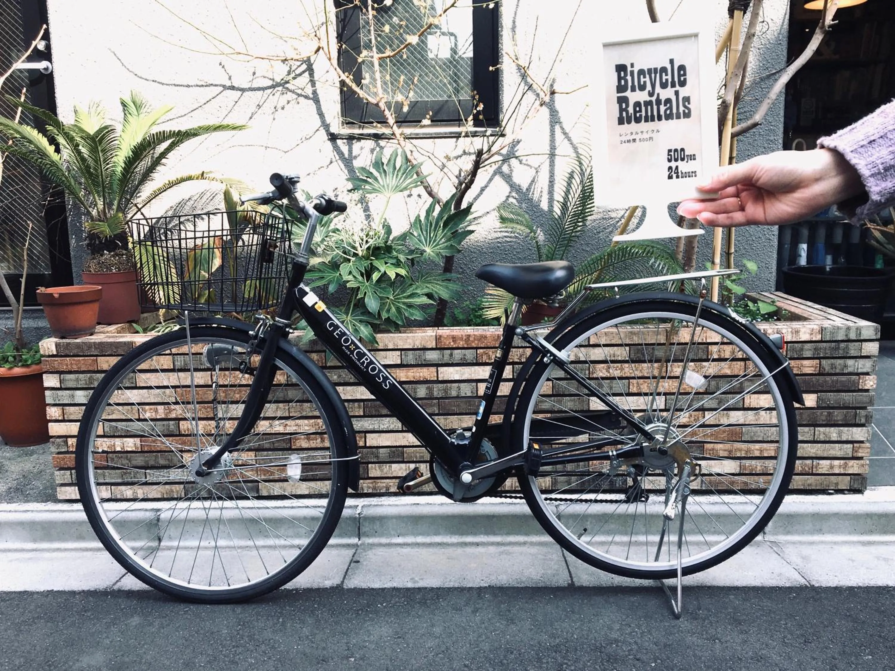 Area and facilities, Other Activities in Kangaroo Hotel Side B