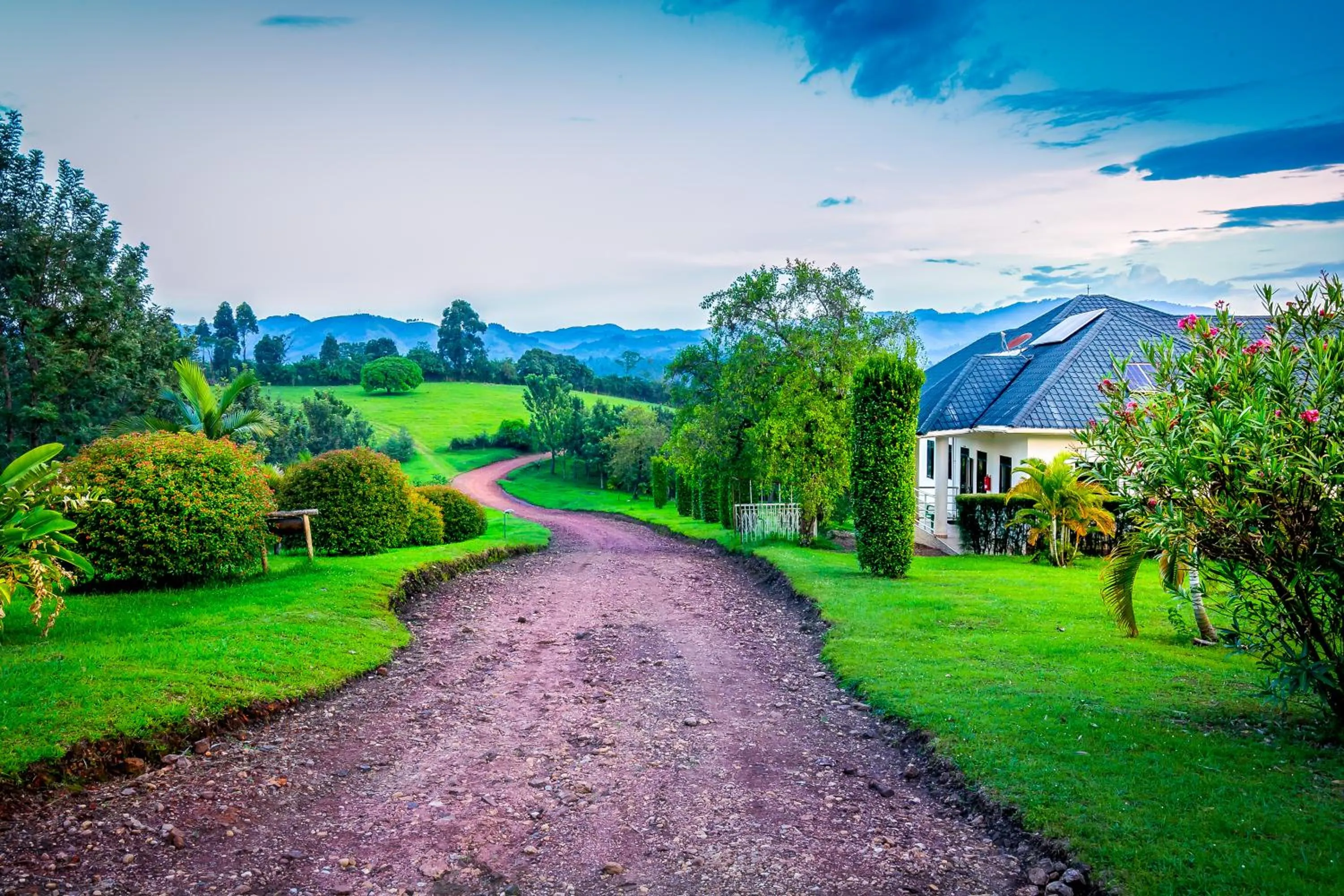 Natural landscape in The Crested Crane Bwindi Hotel