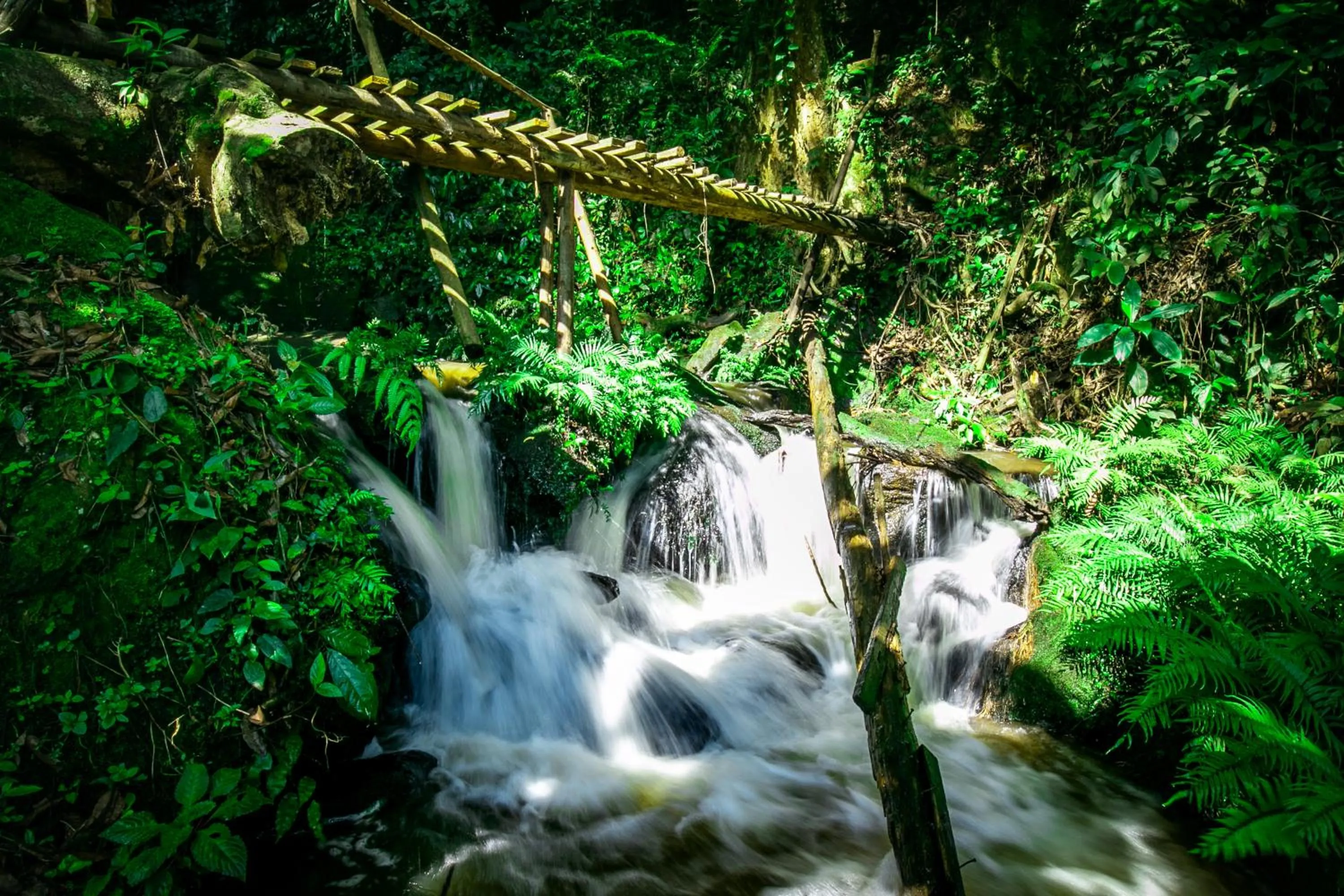 Natural landscape in The Crested Crane Bwindi Hotel