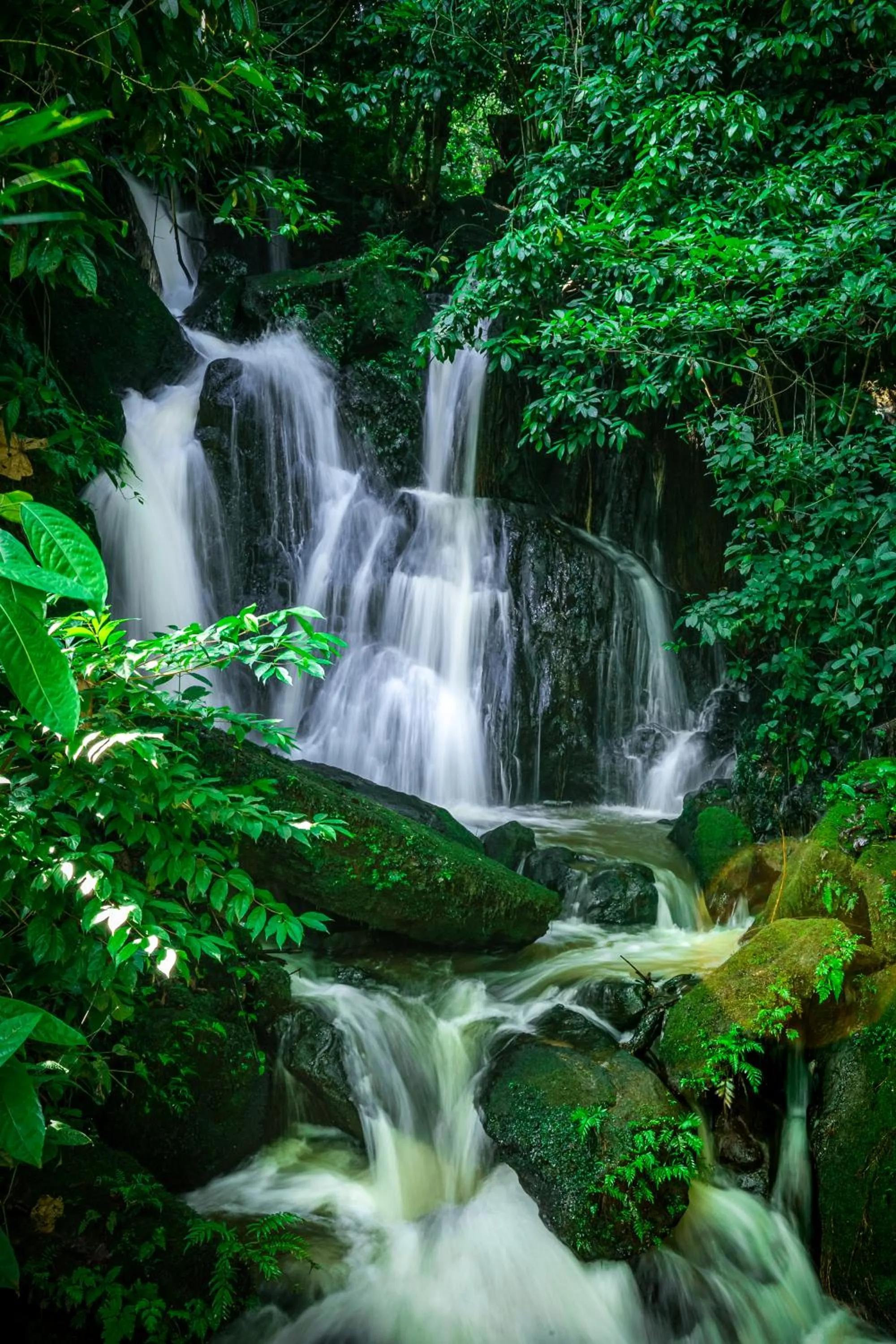 Natural landscape in The Crested Crane Bwindi Hotel