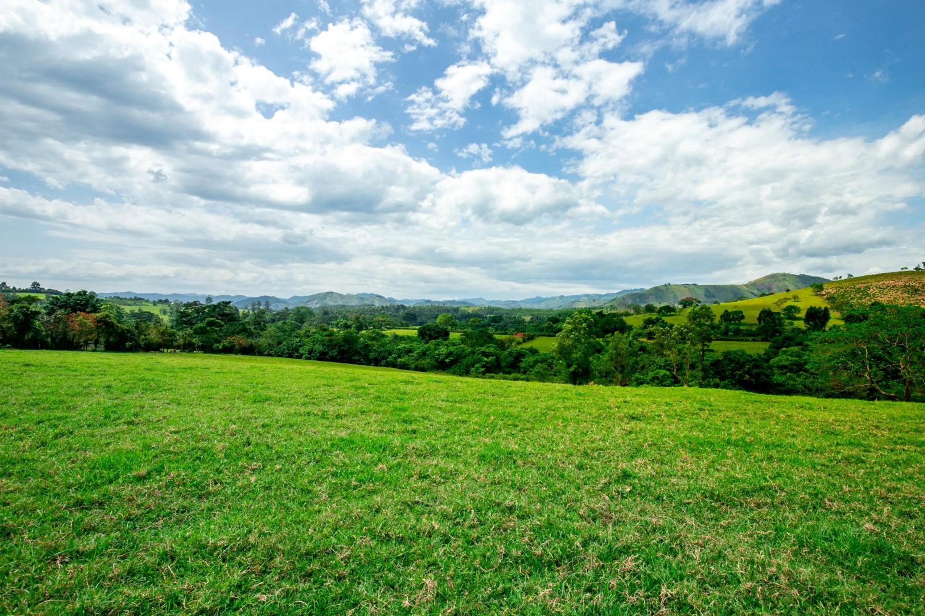 Natural landscape in The Crested Crane Bwindi Hotel