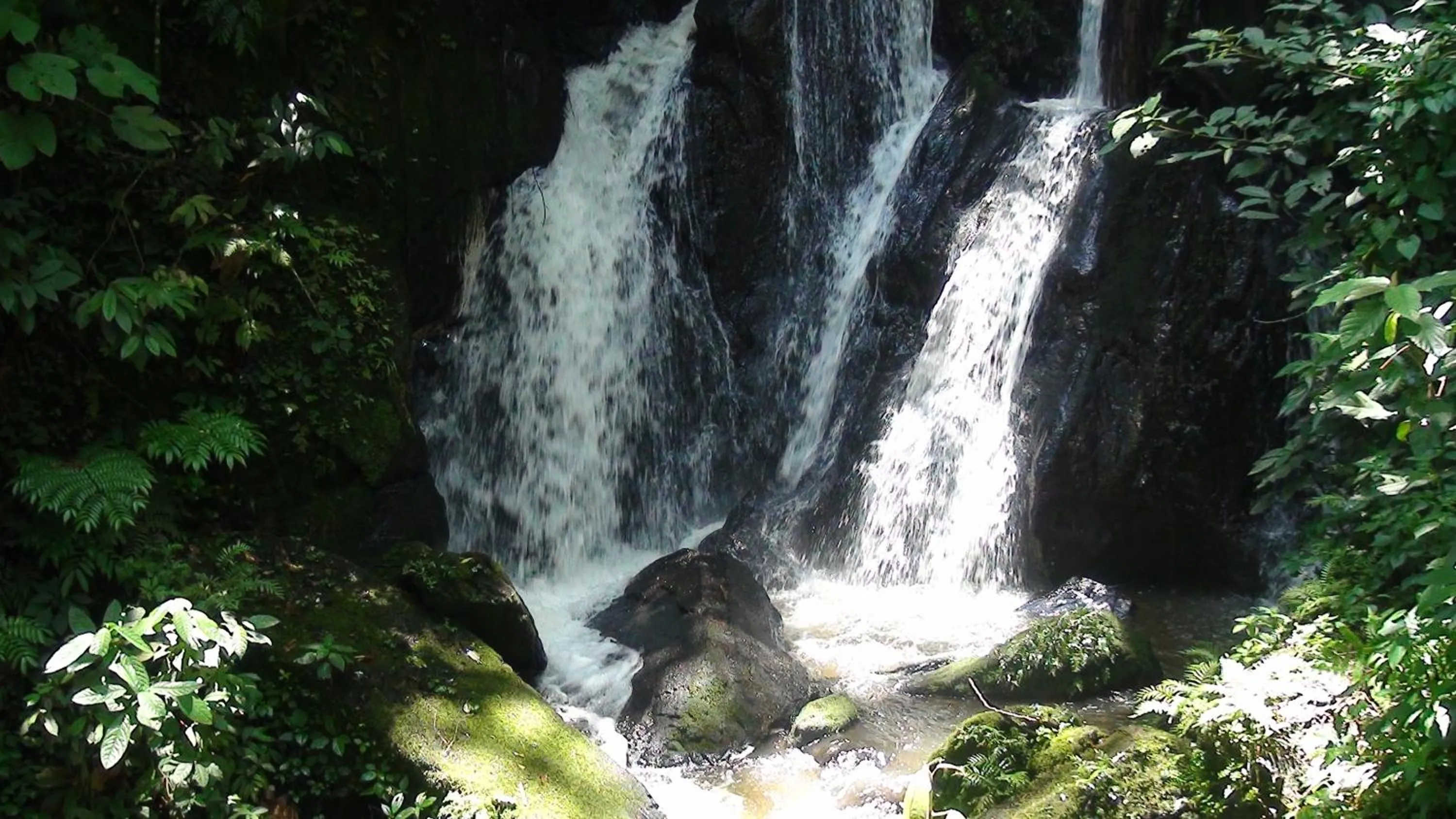 Day in The Crested Crane Bwindi Hotel