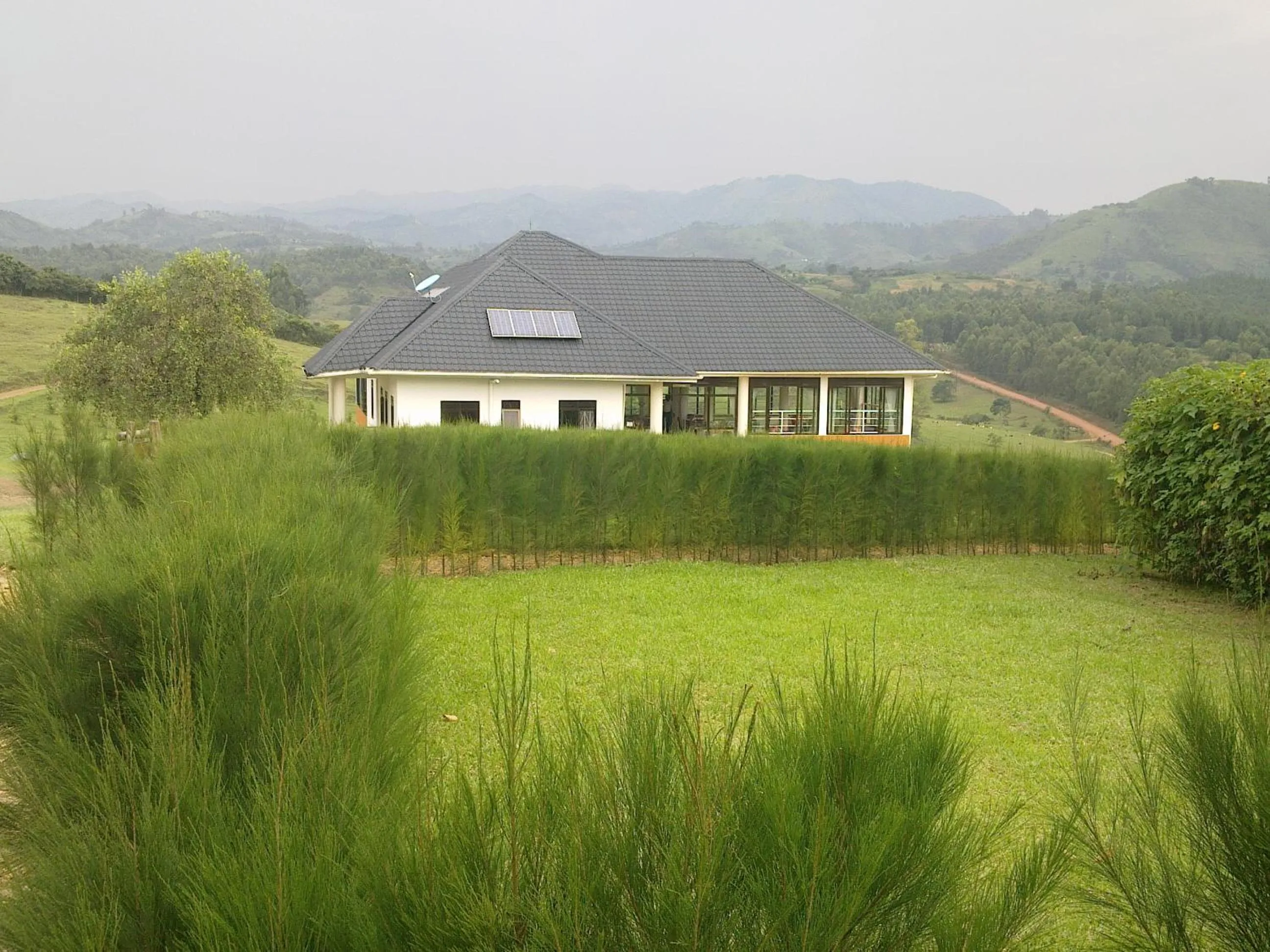 Garden in The Crested Crane Bwindi Hotel